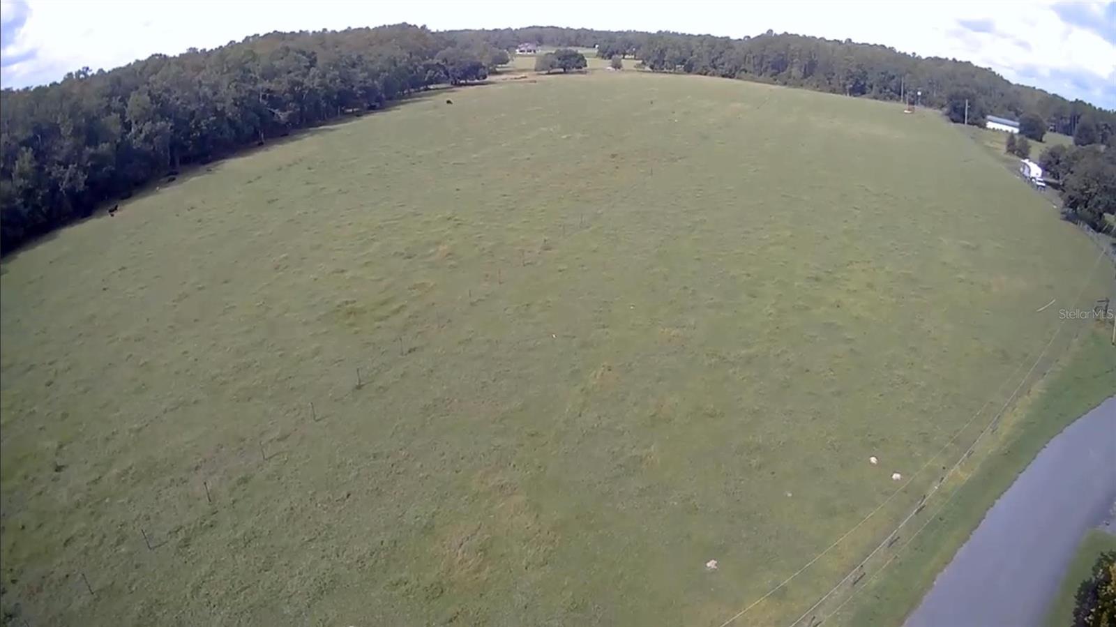 CLERMONT, Florida, 34714, United States, ,Land,For Sale,1982027