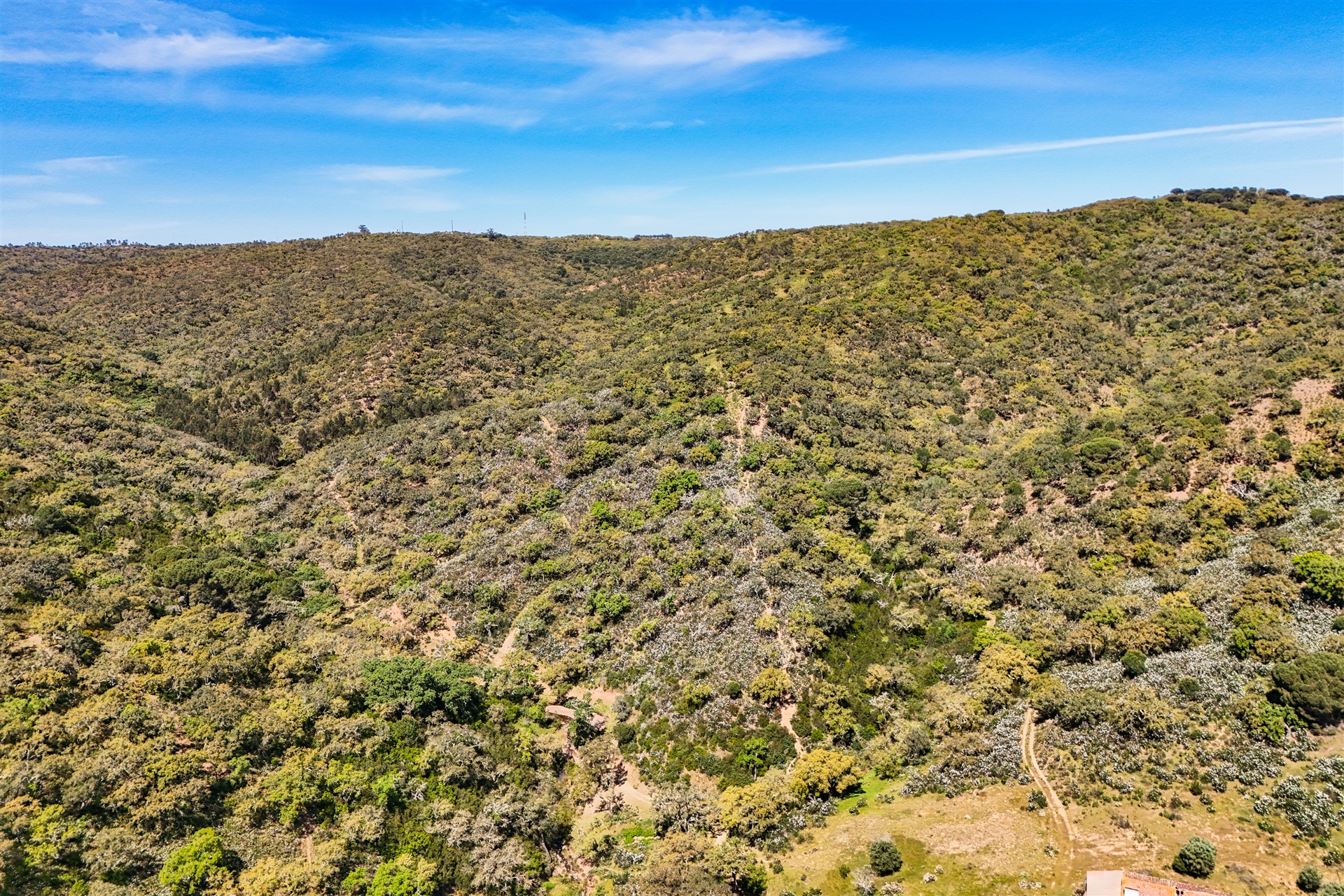  Real estate land for Sale - 物件實景