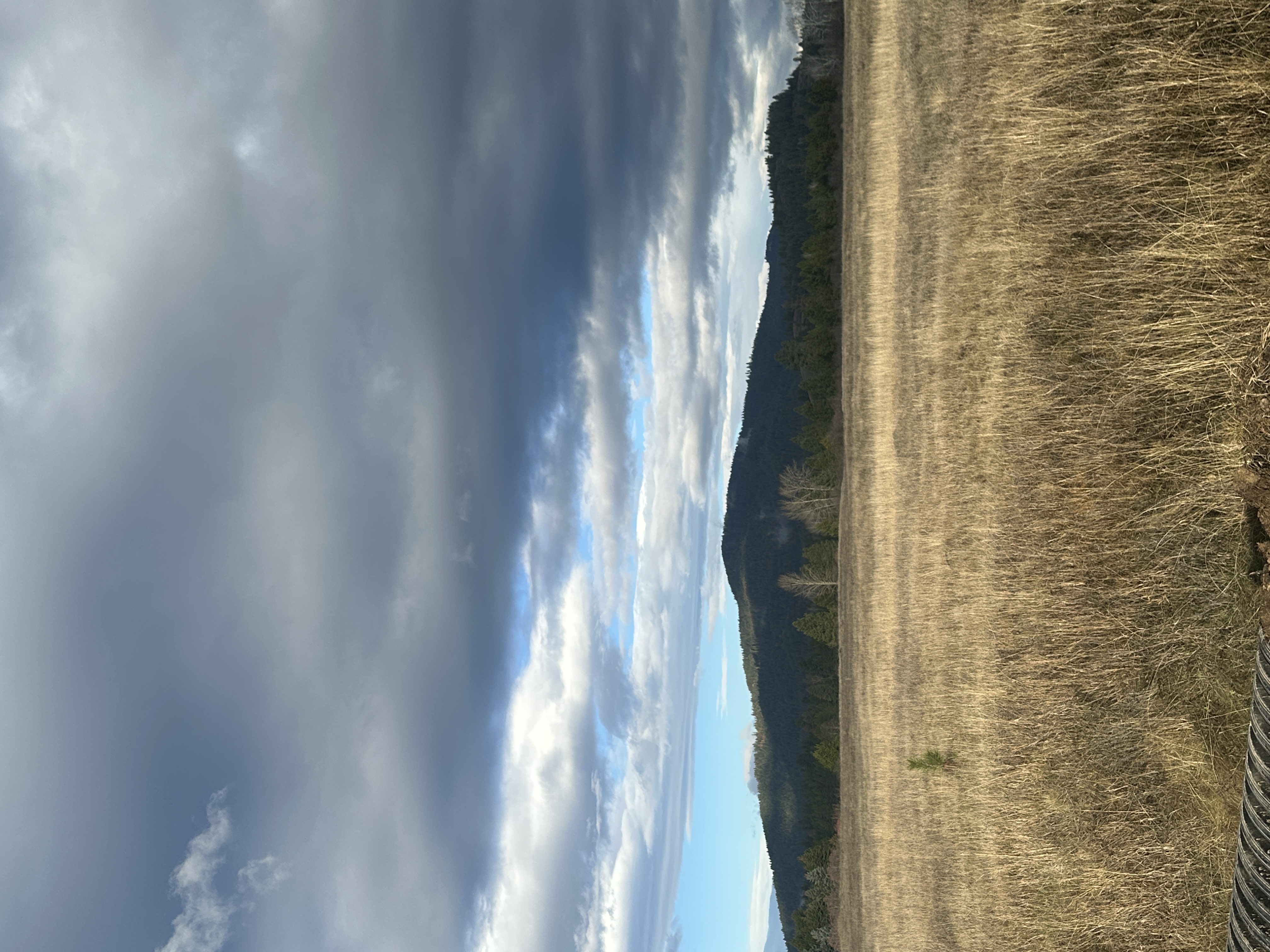 Priest River, Idaho, 83856, United States, ,Land,For Sale,2006127