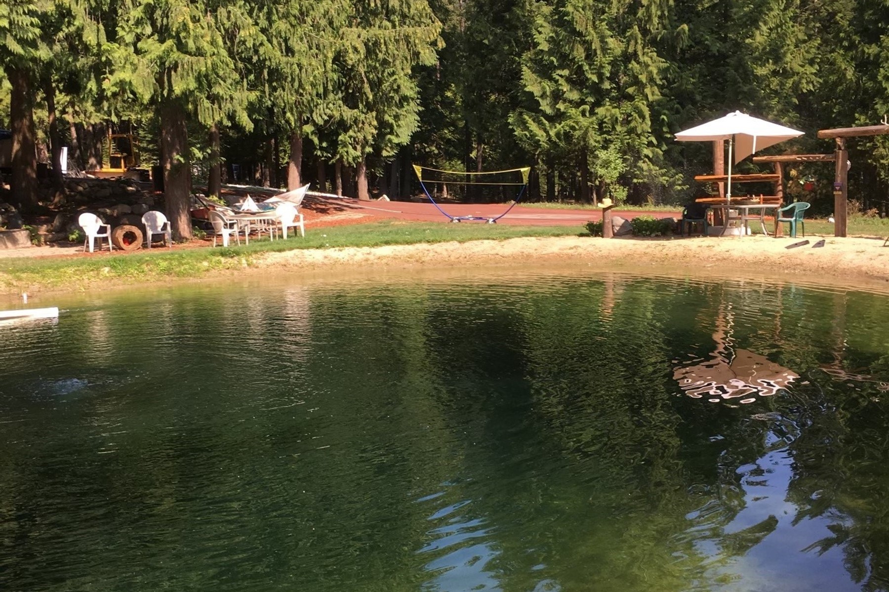  Tree Farm & Home on 6+ Acres - 物件實景