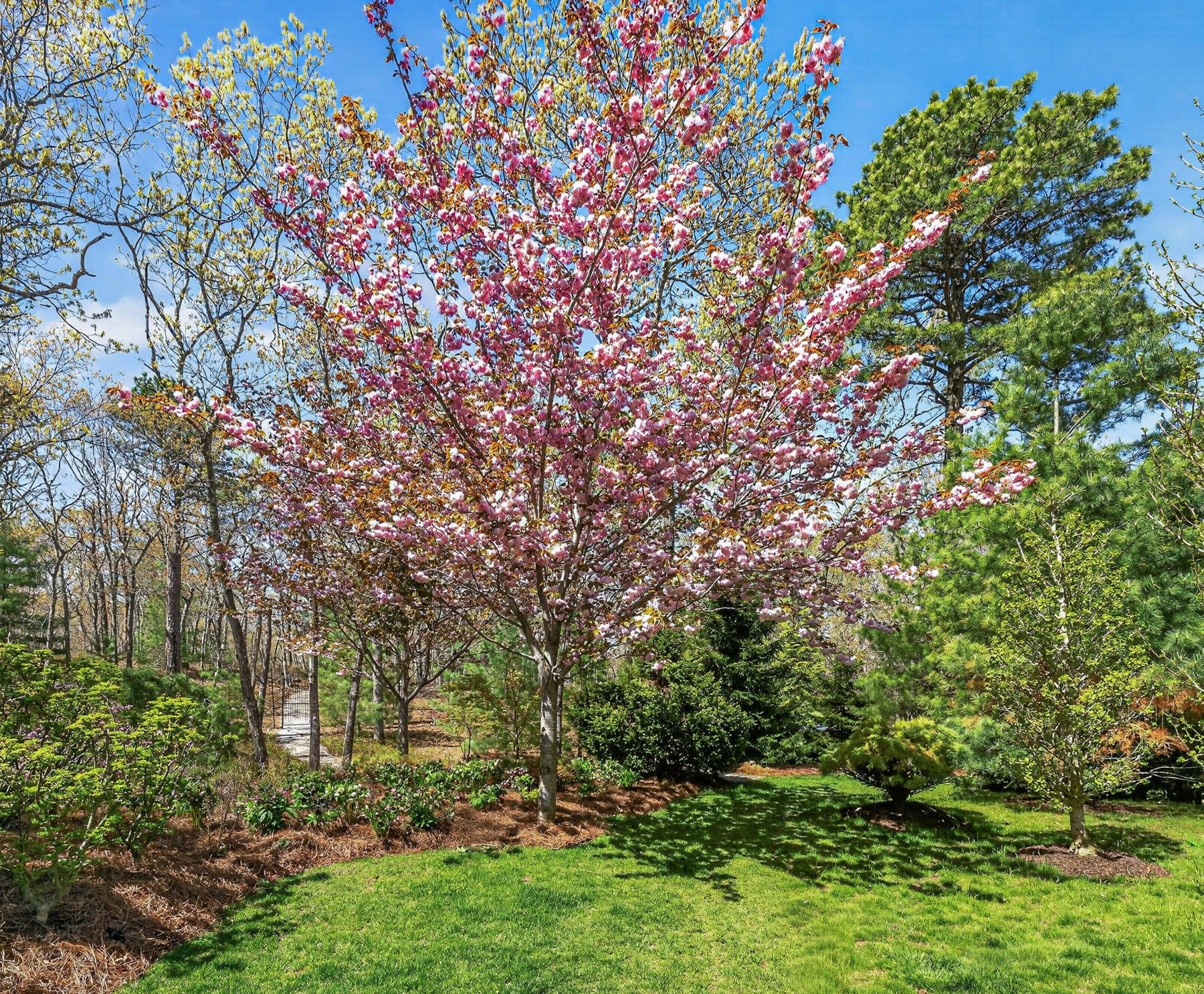  Dazzling East Hampton Compound Featured in Architectural Digest - 物件實景