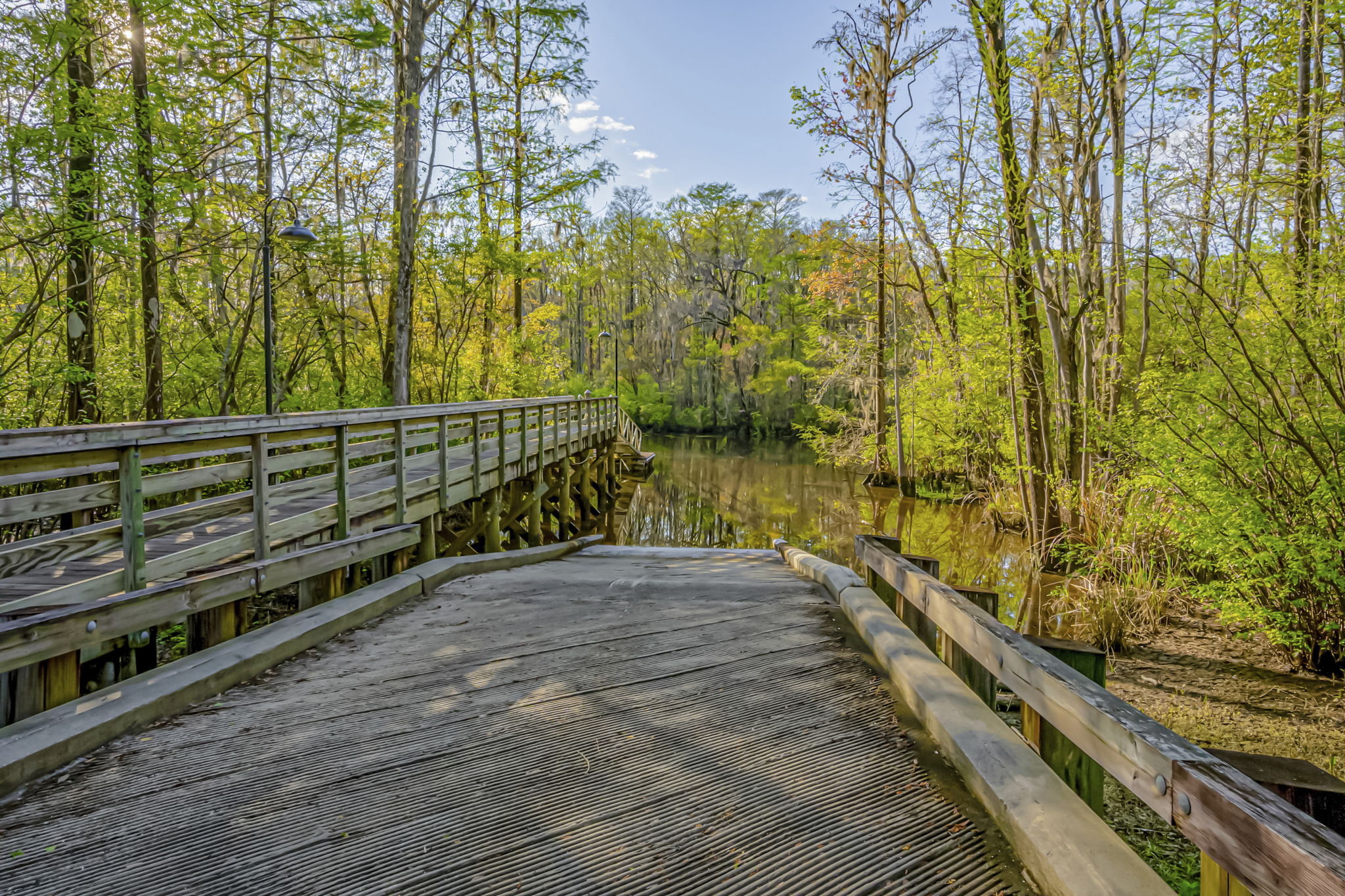  67 Rose Bud Court  Collins Creek Landing in Murrells Inlet, SC - 物件實景