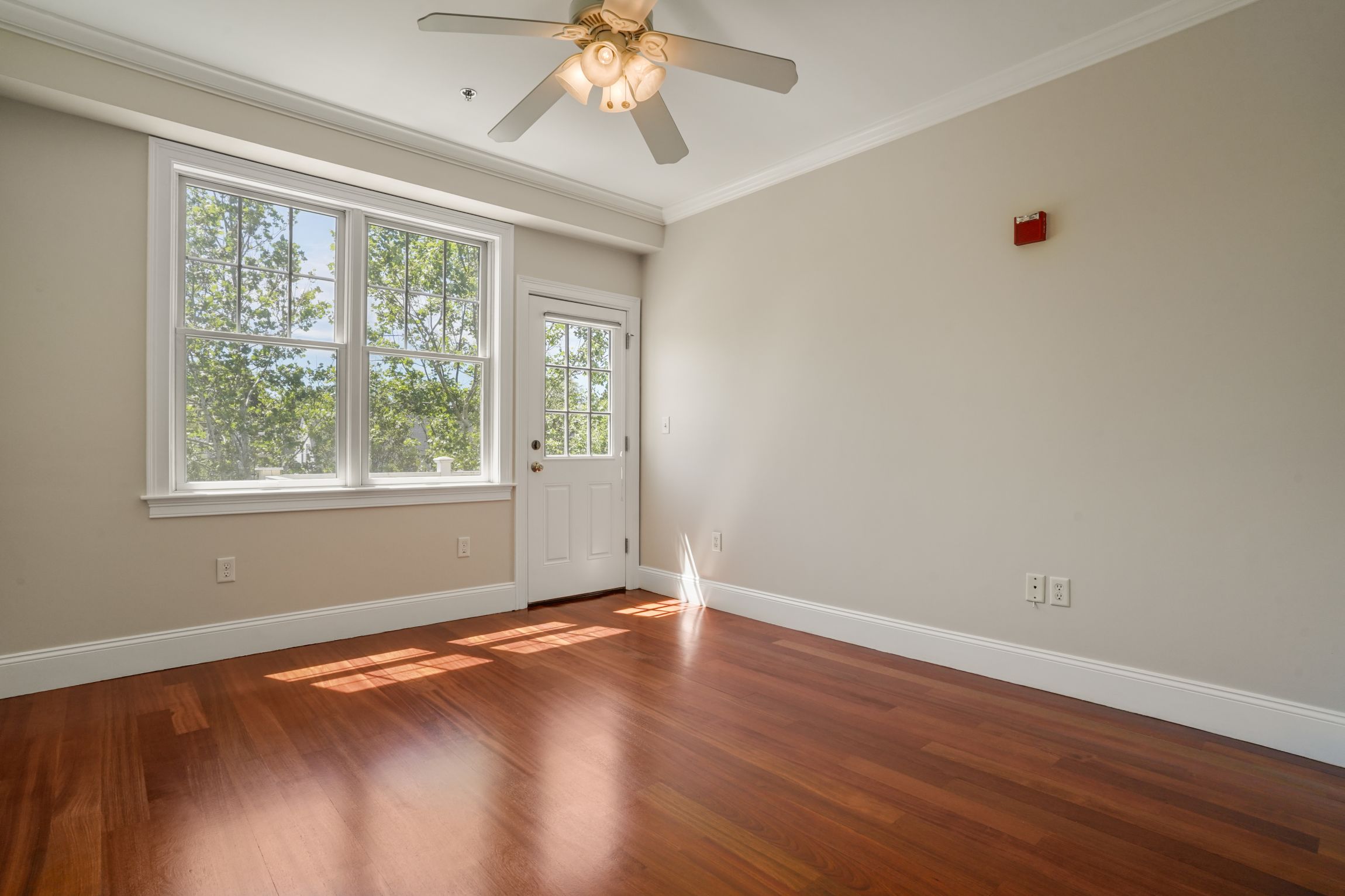  87 Dix St, Boston, MA, 02122 - 物件實景