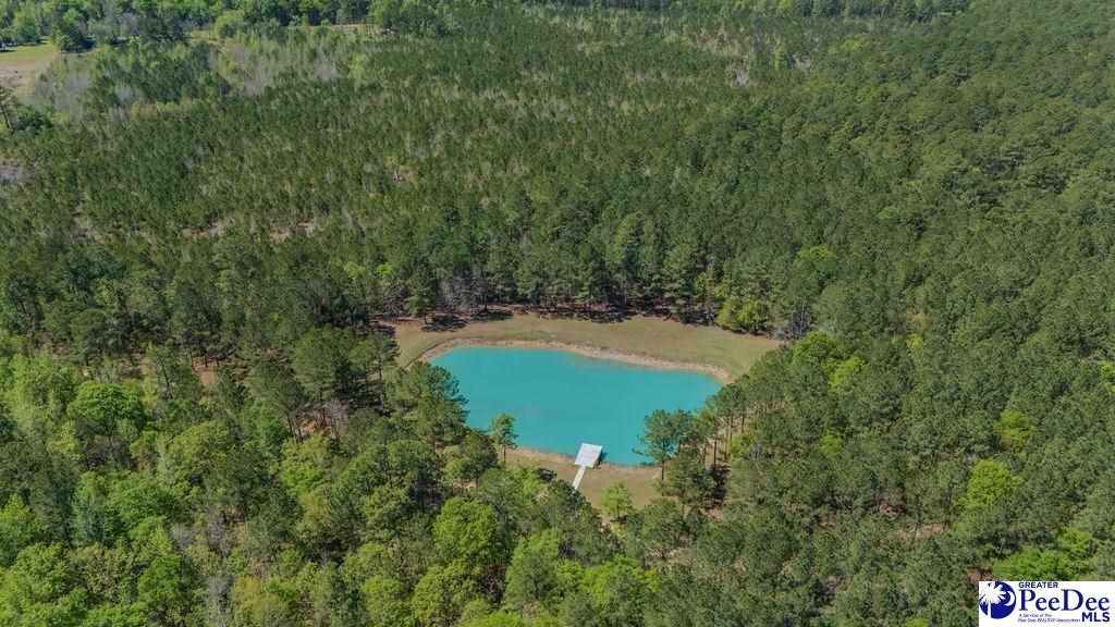 1315 Hill Harrell Road, Effingham, South Carolina, 29541-3179, United States, ,Land,For Sale,1315 Hill Harrell Road,1501598