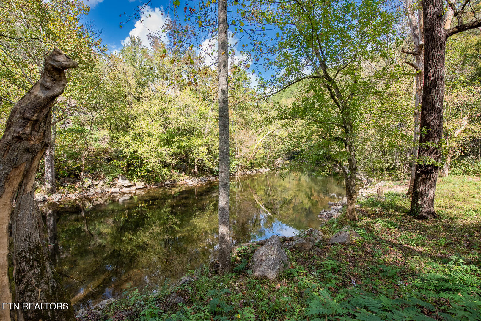 Townsend, Tennessee, 37882, United States, 1 Bedroom Bedrooms, ,1 BathroomBathrooms,Residential,For Sale,1973963