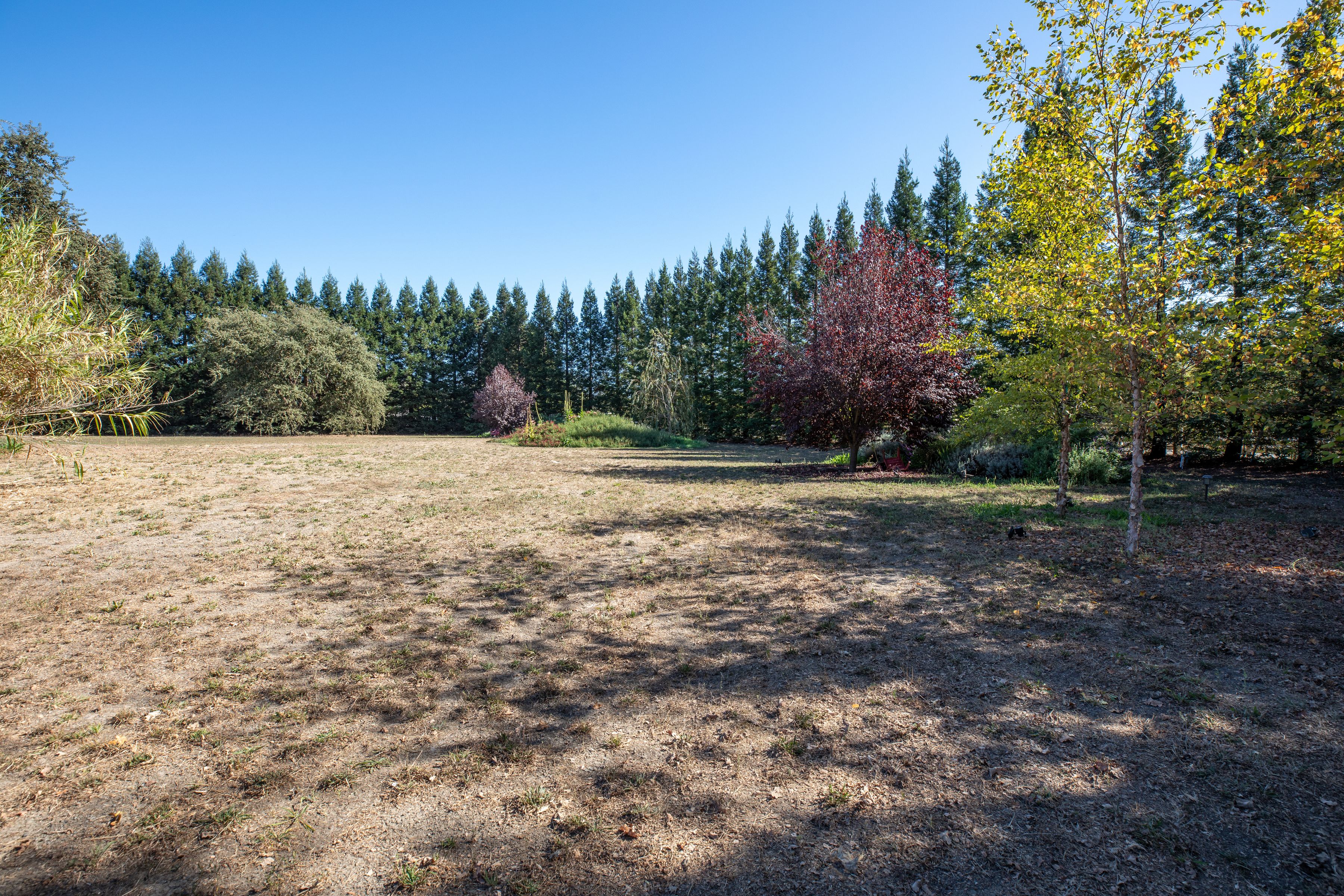  3290 Somers Street, Santa Rosa - 物件實景
