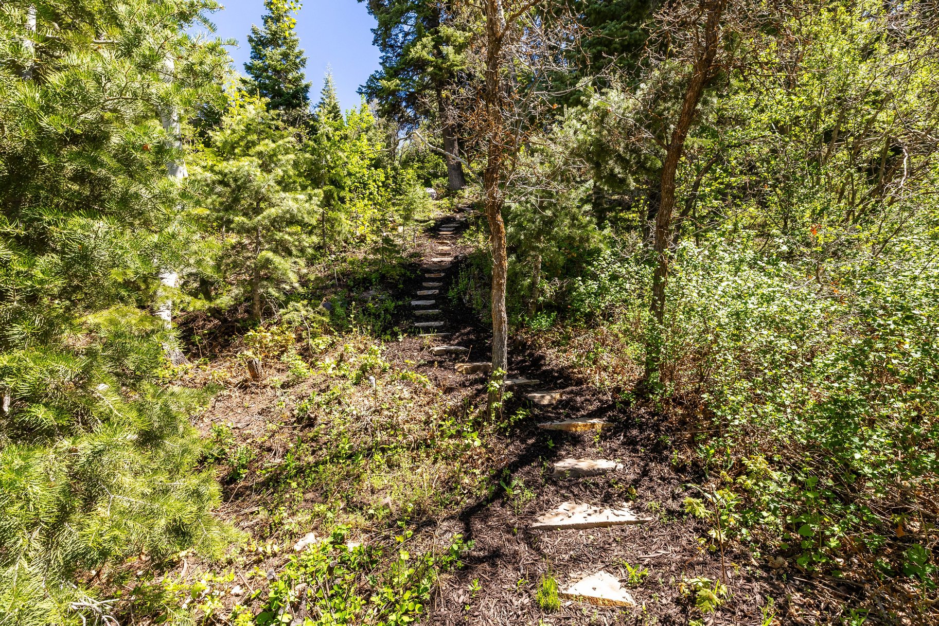  Nature-Inspired Living in the Heart of Park City