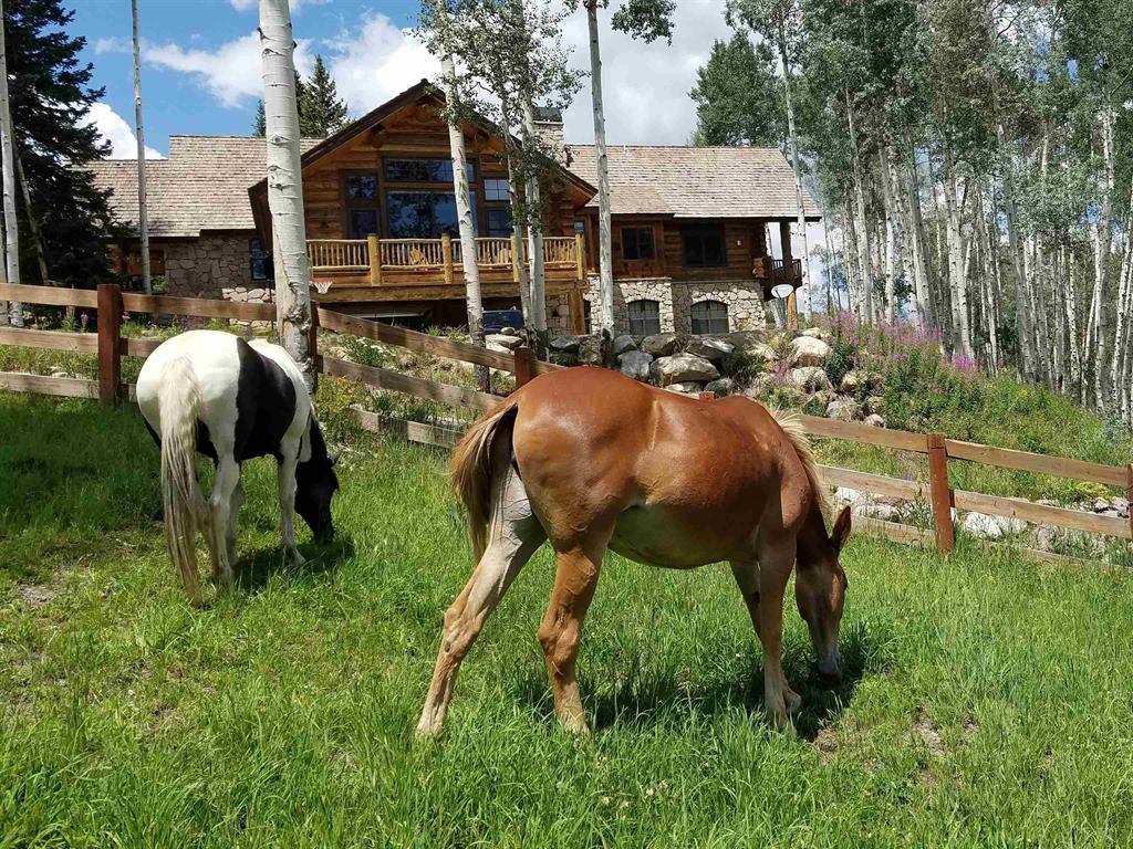 Crested Butte, Colorado, 81224, United States, 7 Bedrooms Bedrooms, ,10 BathroomsBathrooms,Residential,For Sale,1868441
