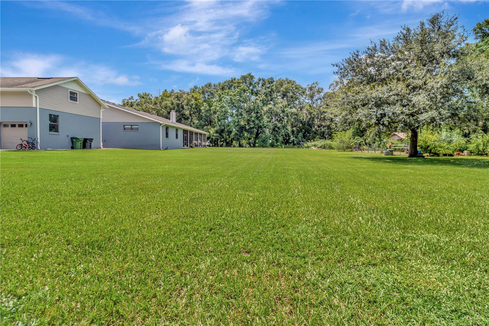 CENTER HILL, Florida, 33514, United States, 5 Bedrooms Bedrooms, ,4 BathroomsBathrooms,Residential,For Sale,1919942