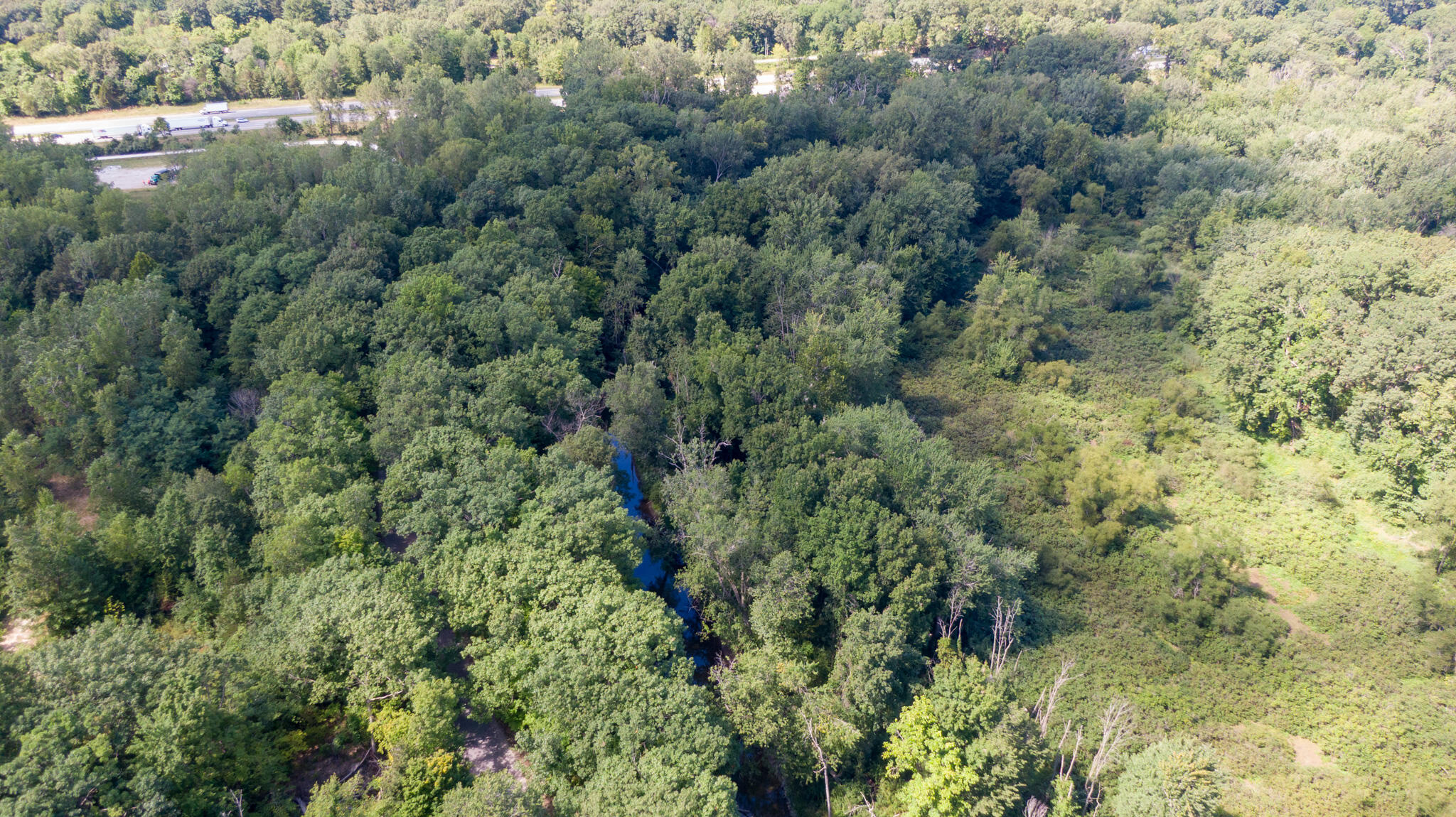 Union Pier, Michigan, 49129, United States, ,Land,For Sale,1988293