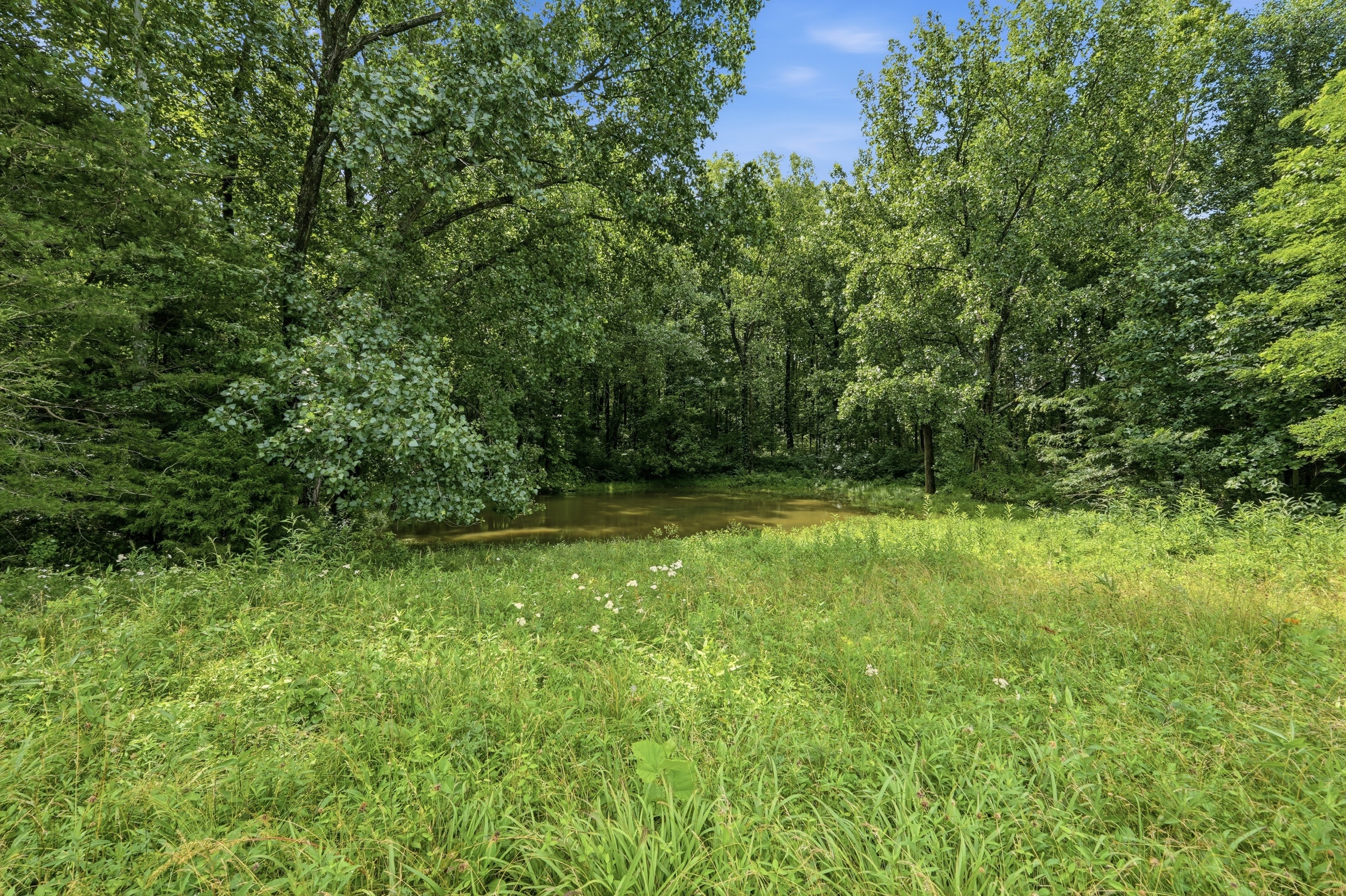  3850 Smith Lane, La Grange, KY 40031 - 物件實景