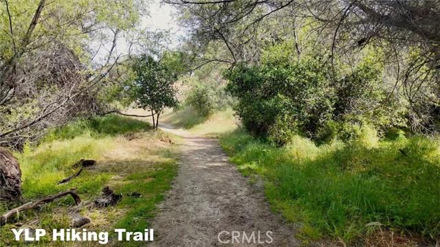 Coarsegold, California, 93614, United States, 4 Bedrooms Bedrooms, ,3 BathroomsBathrooms,Residential,For Sale,1915095