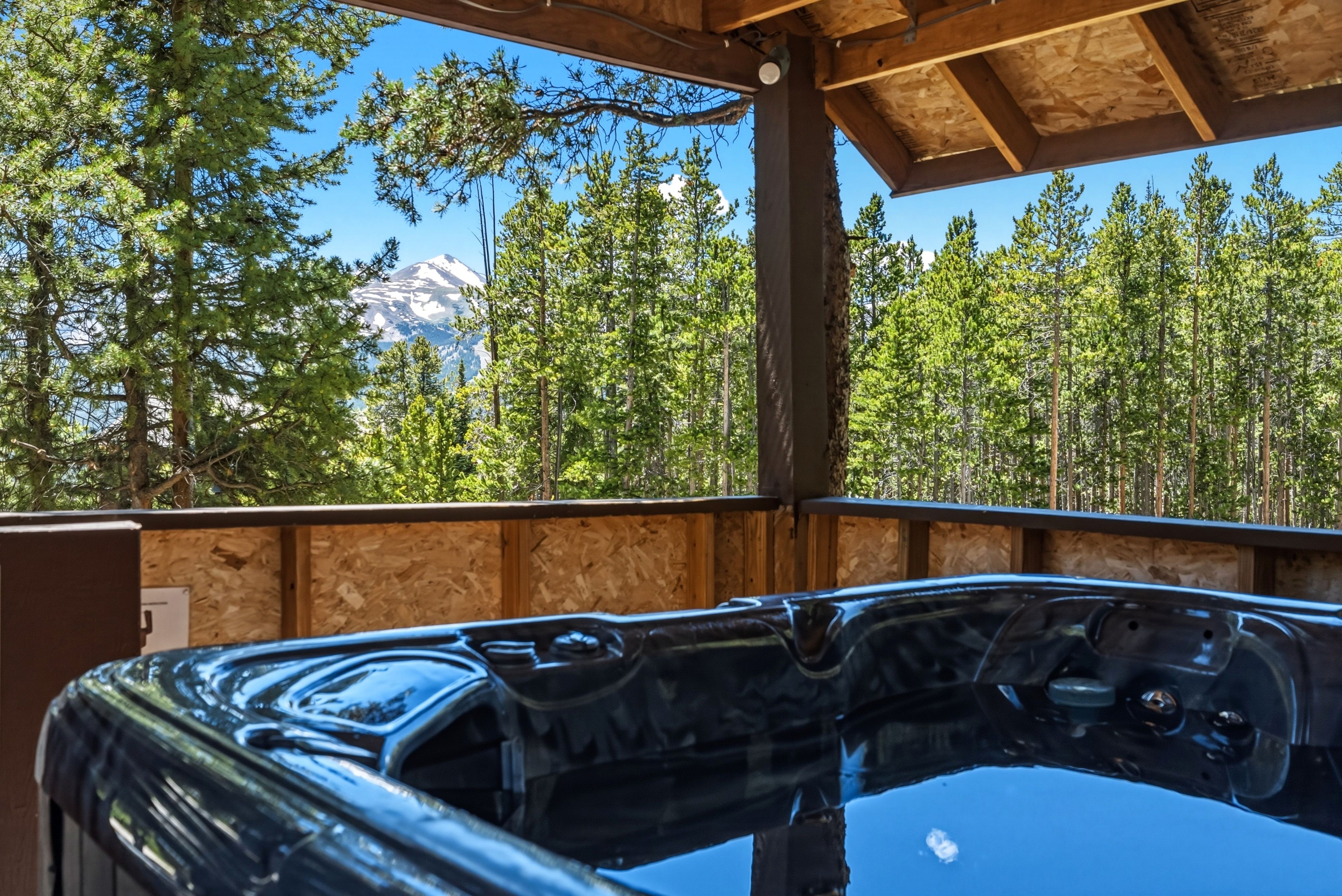  1233 Baldy Road, Breckenridge, CO 80424 - 物件實景