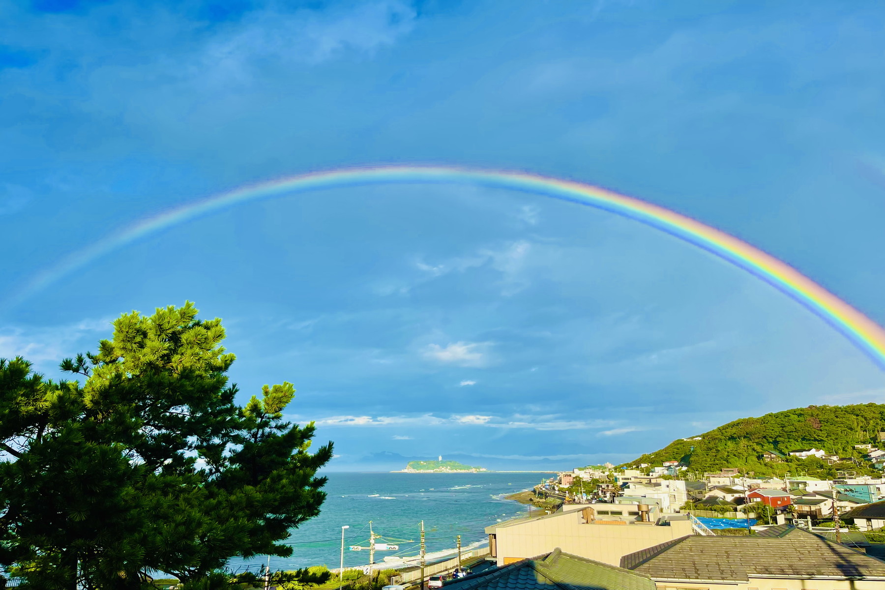  The Finest Ocean View in Kamakura - 物件實景