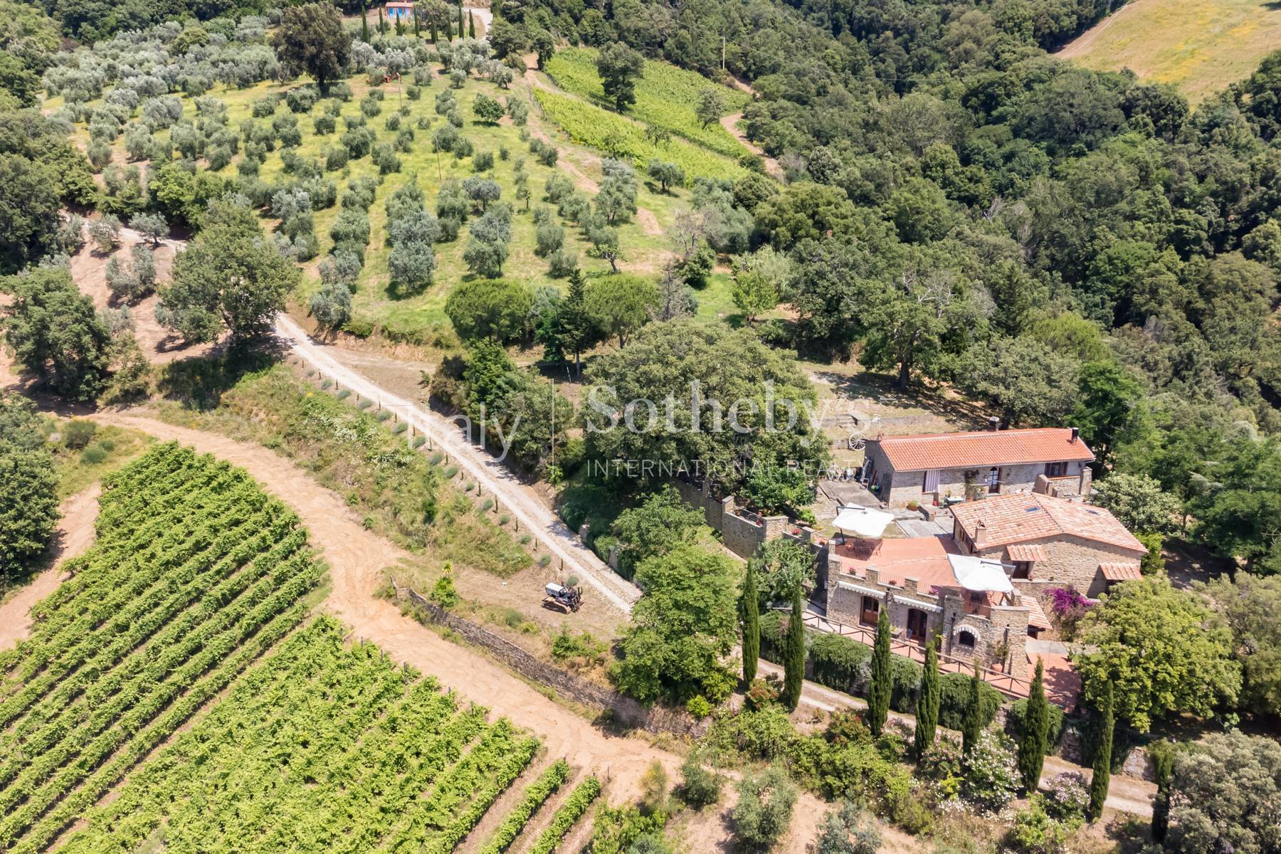  Enchanting property in maremma with vineyards and sea view - 物件實景