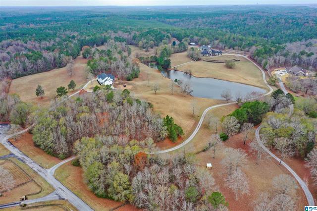 Calera, Alabama, 35040, United States, 5 Bedrooms Bedrooms, ,6 BathroomsBathrooms,Residential,For Sale,2006341