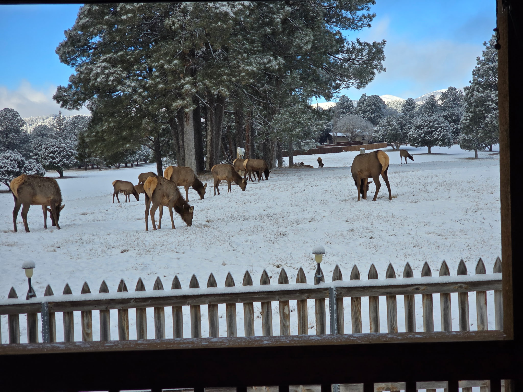 Ruidoso, New Mexico, 88345, United States, 3 Bedrooms Bedrooms, ,2 BathroomsBathrooms,Residential,For Sale,1998115