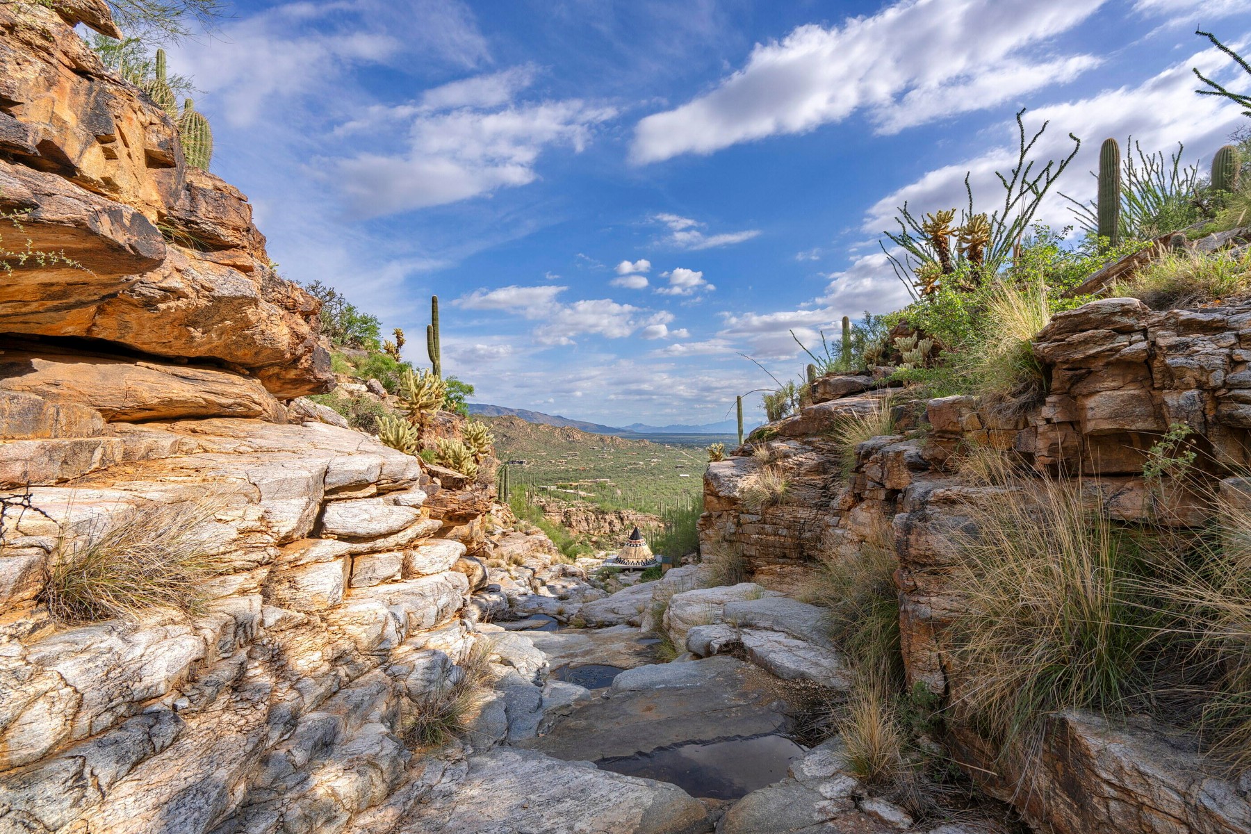  12536 E Mira Vista Canyon Place¦Tucson, AZ - 物件實景