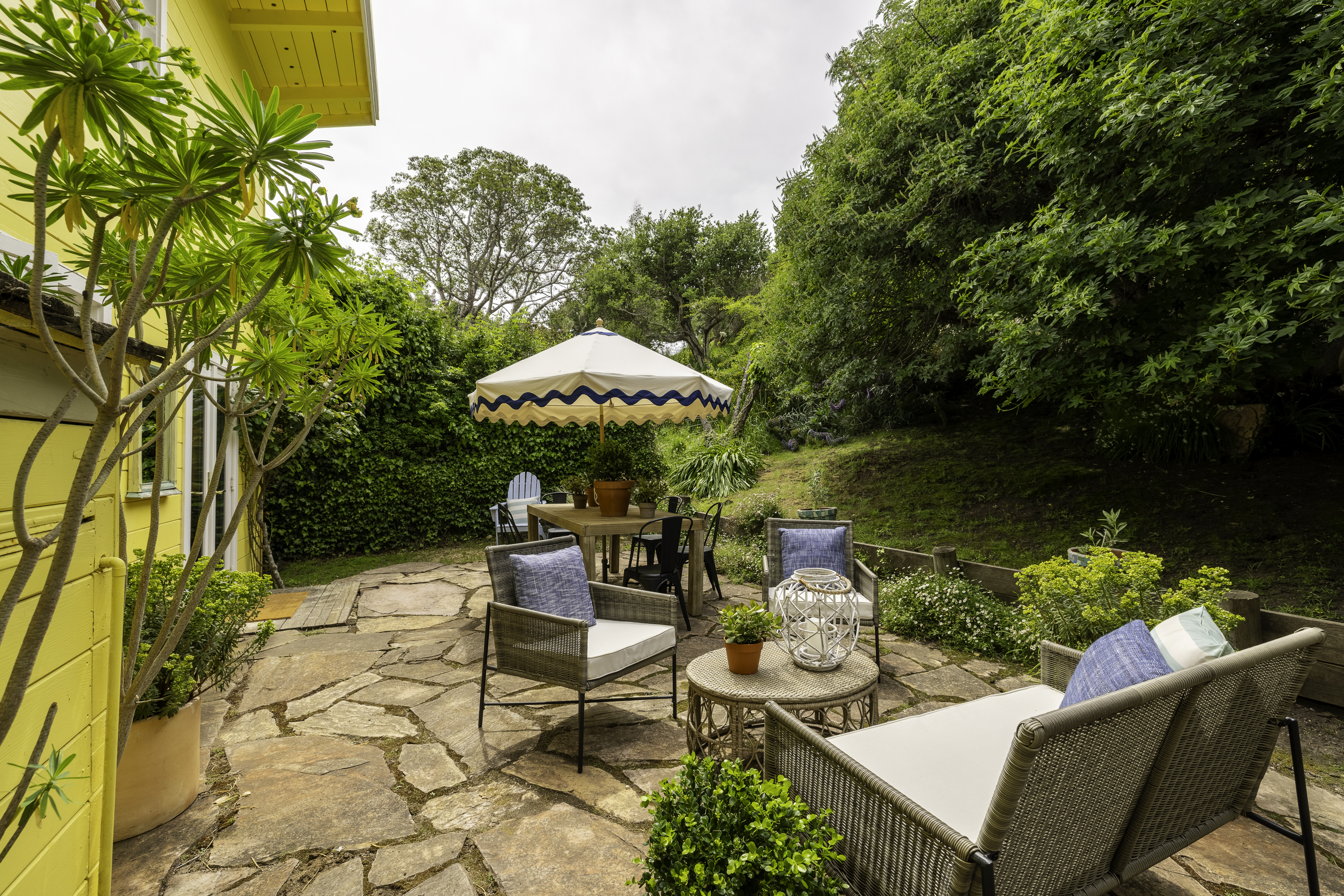  Catch the Sunshine . . . A Timeless Bolinas Cottage by the Ocean - 物件實景