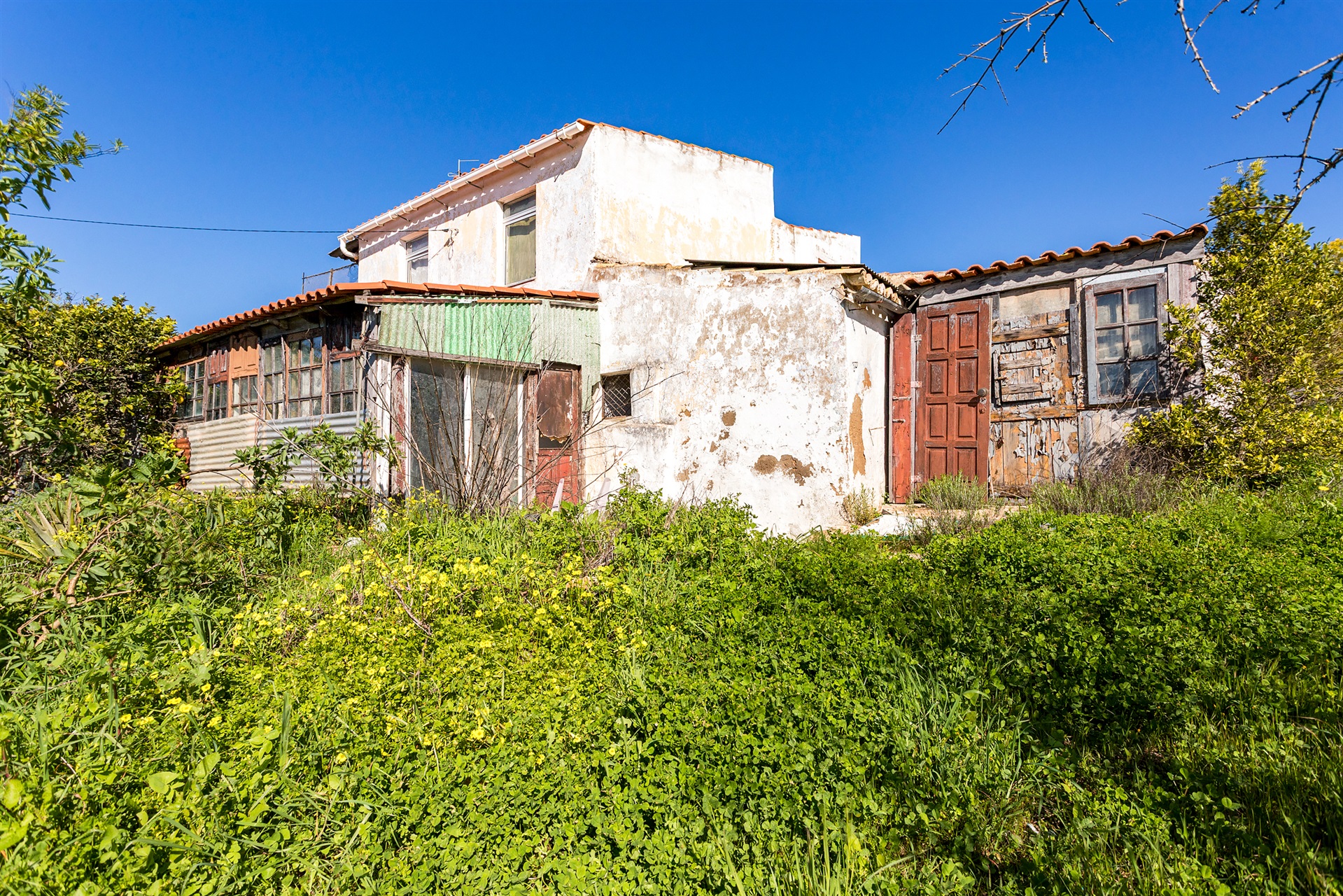  House for Sale - 物件實景