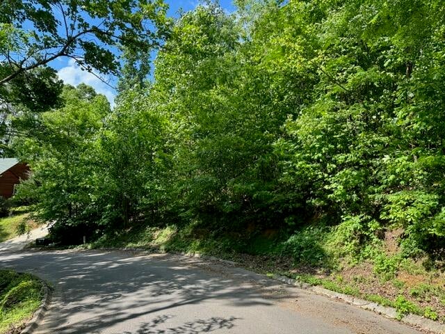 Sevierville, Tennessee, 37876, United States, 13 Bedrooms Bedrooms, ,14 BathroomsBathrooms,Residential,For Sale,1974606