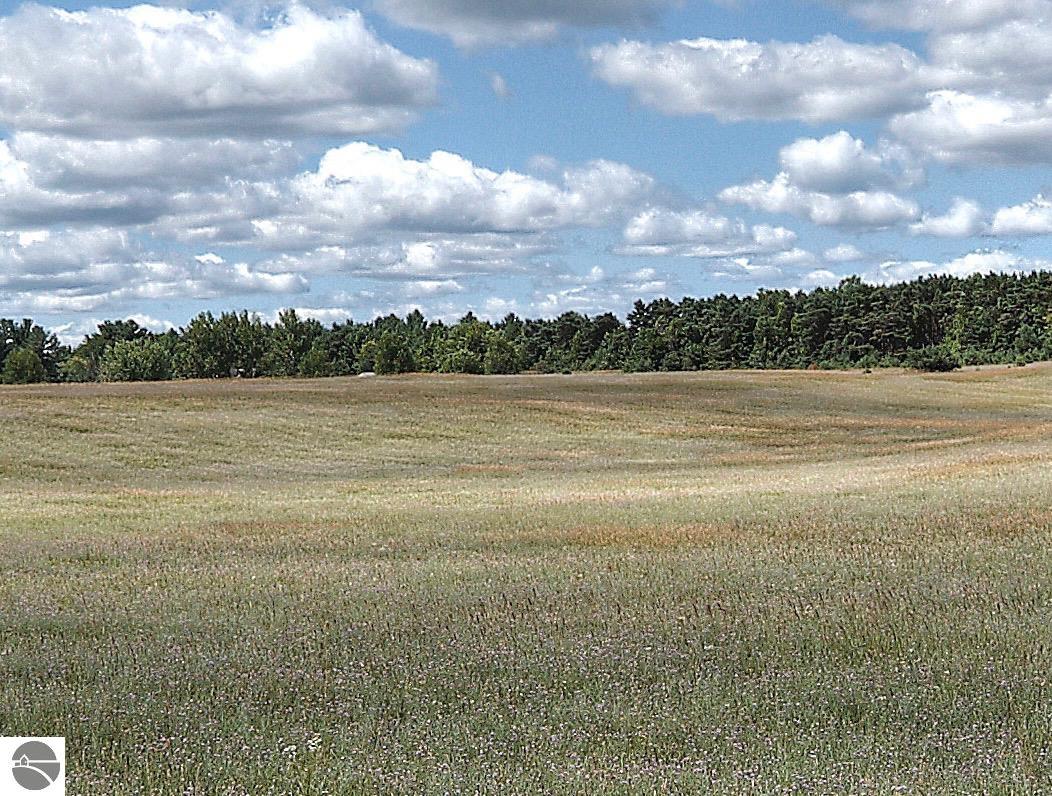 Interlochen, Michigan, 49643, United States, ,Land,For Sale,1895460