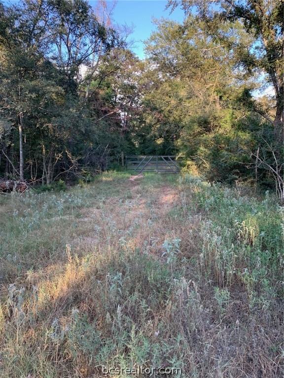 5632 County Road 317, Caldwell, Texas, 77836, United States, ,Land,For Sale,5632 County Road 317,1609859