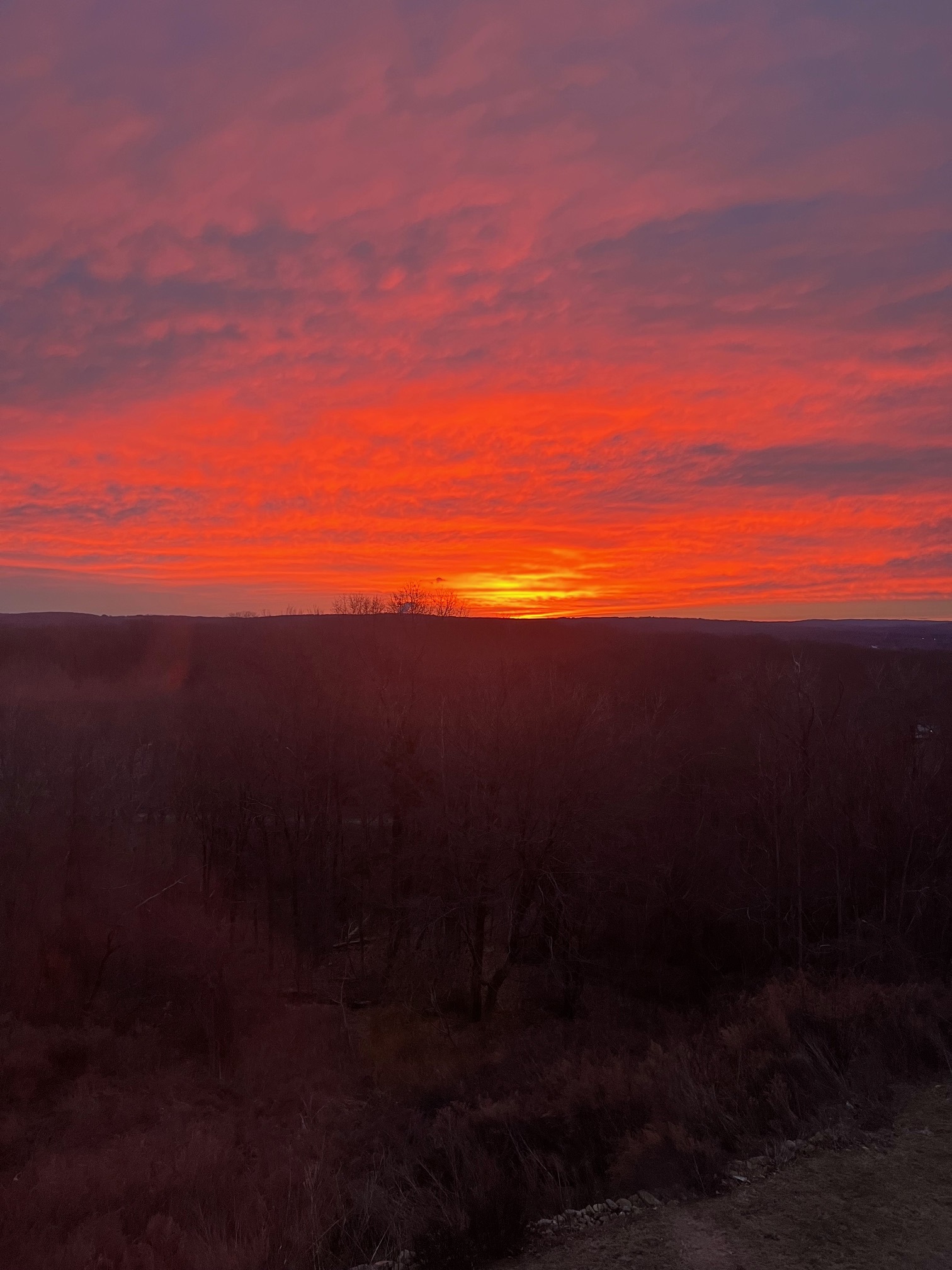  Nestled in the Upper Grassy Hill Community of Woodbury - 物件實景