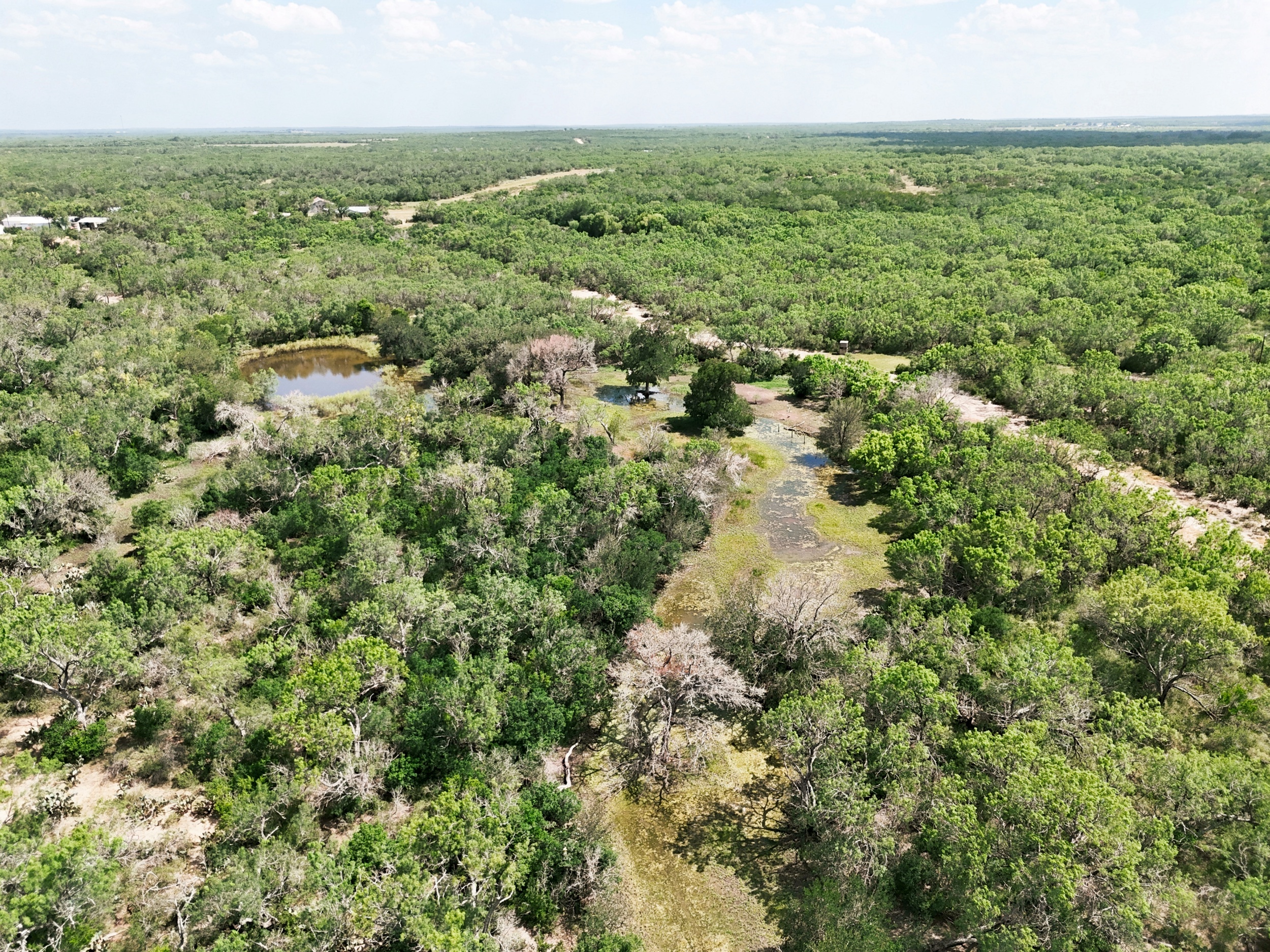  O6 Ranch in Frio County - 物件實景