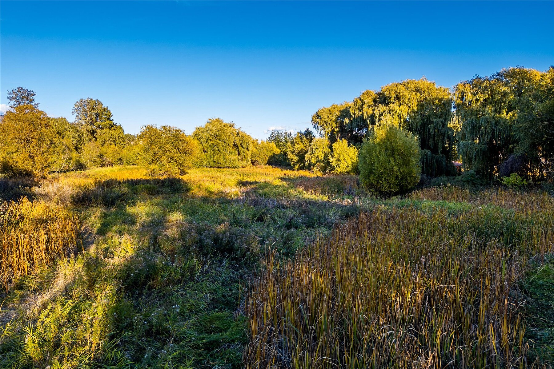  Welcome to Springfield Marsh - 物件實景