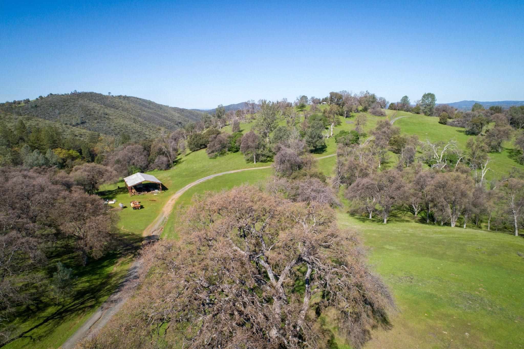 16551 Wards Ferry Rd, Big Oak Flat, California, 95305, United States, ,Land,For Sale,16551 Wards Ferry Rd,1554958