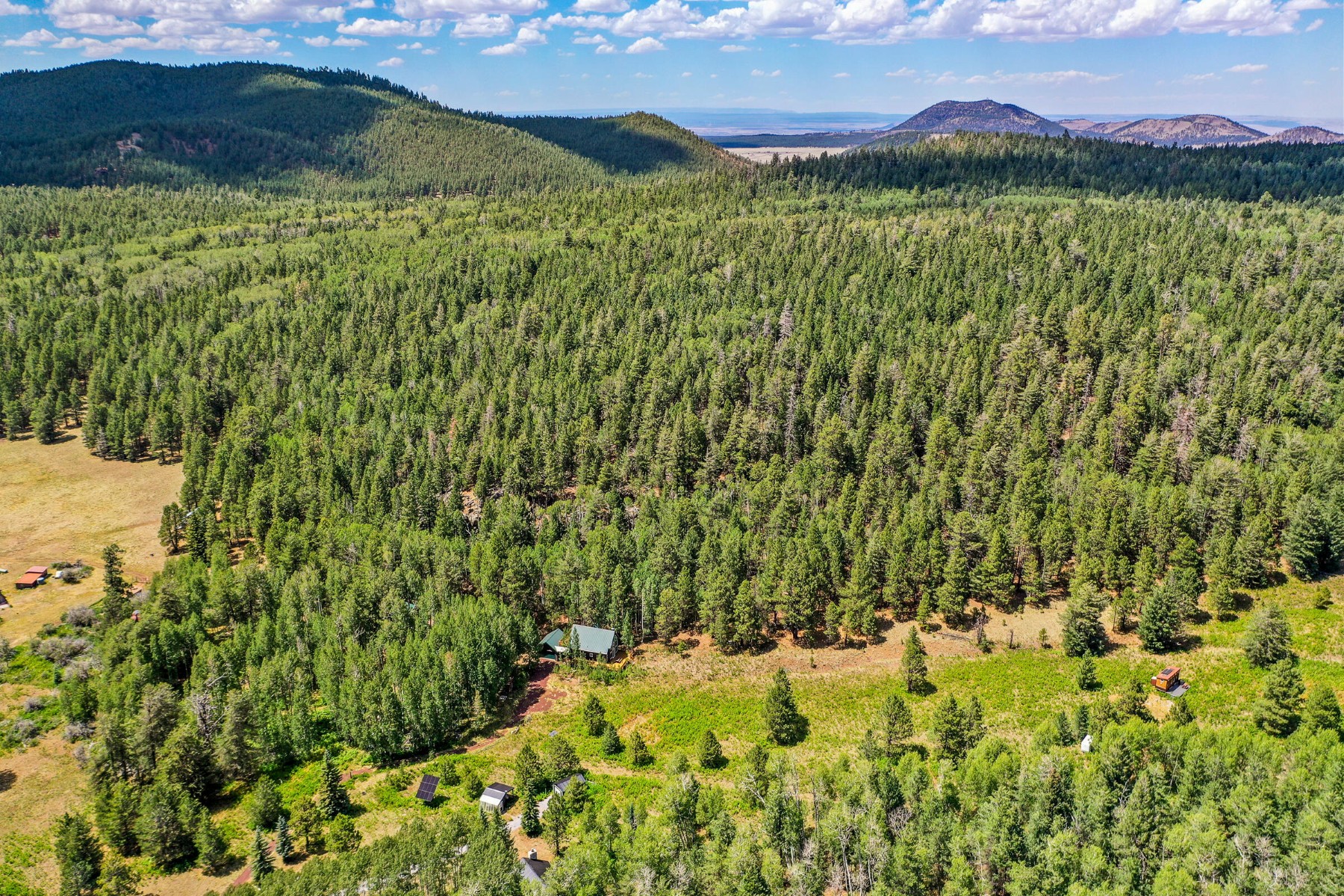  17787 N Forest Service 9004t Road ¦ Flagstaff, AZ - 物件實景