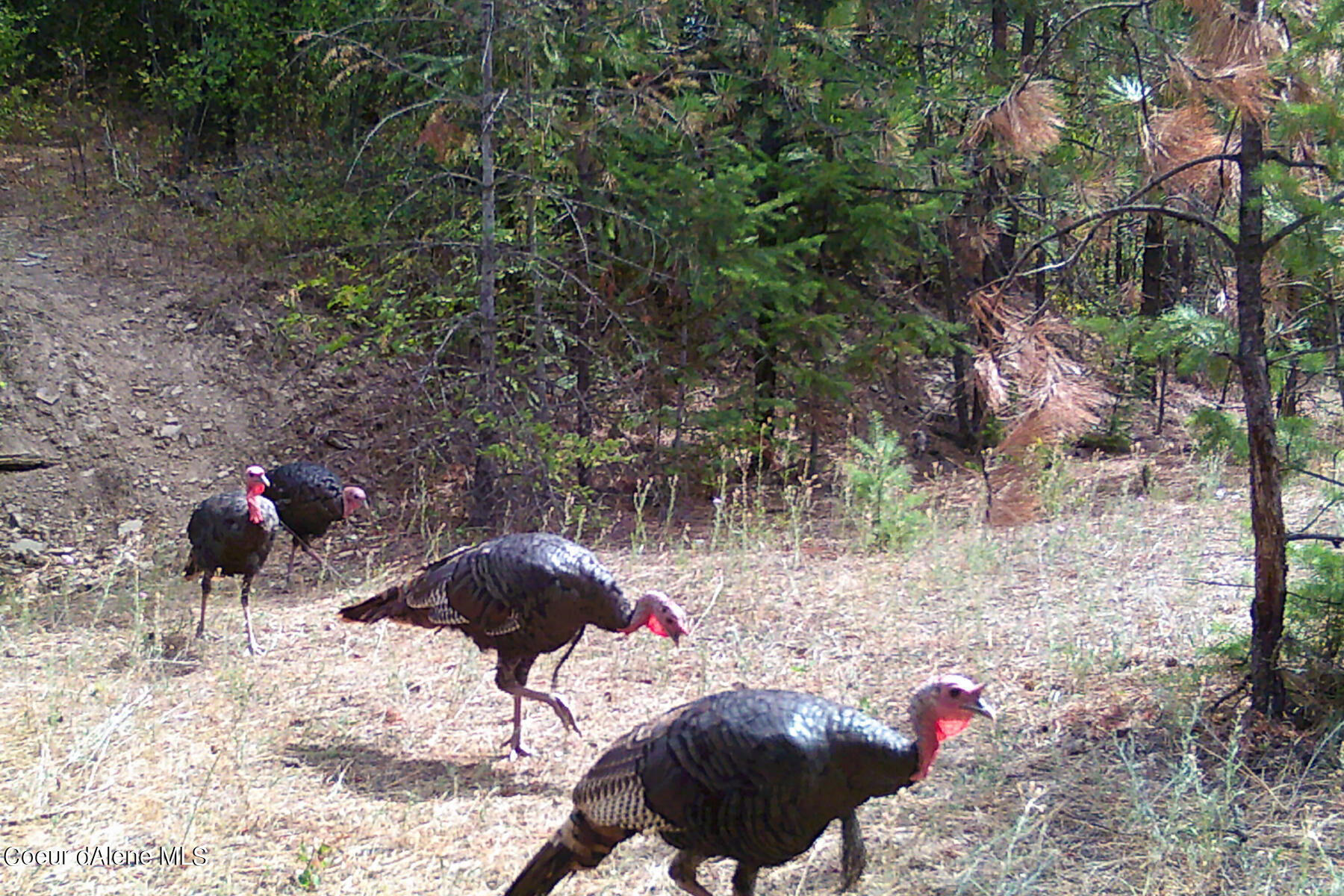 Coeur d'Alene, Idaho, 83814, United States, 4 Bedrooms Bedrooms, ,3 BathroomsBathrooms,Residential,For Sale,1974008