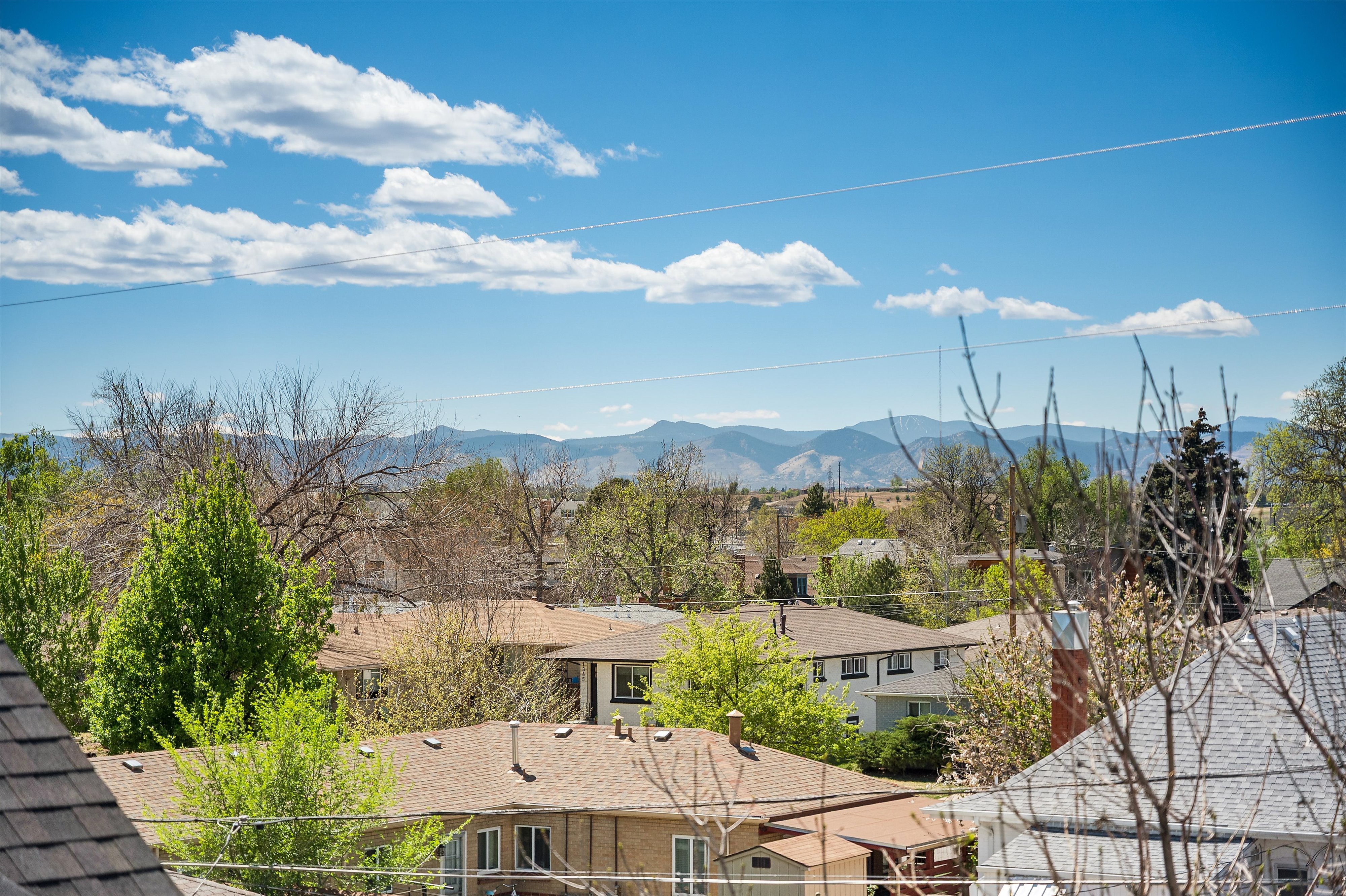  Thoughtfully designed and situated in the heart of Platt Park - 物件實景