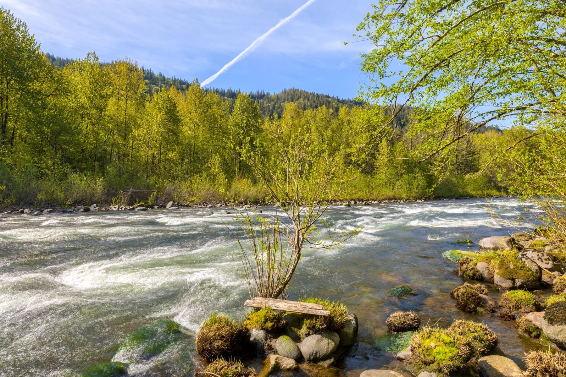  58200 E Marmot Road Sandy, OR 97055 - 物件實景