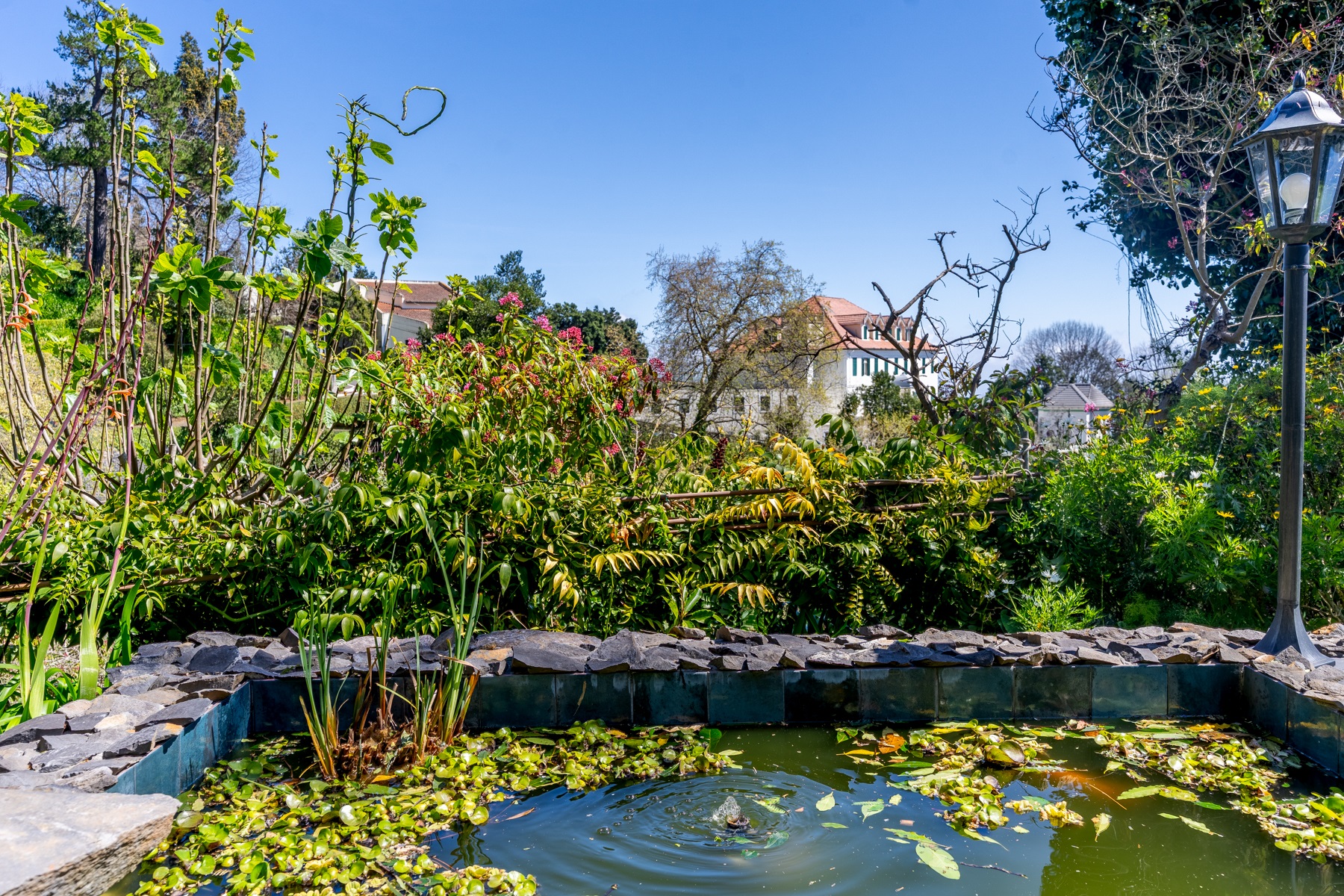  House, 3 bedrooms, for Sale - 物件實景