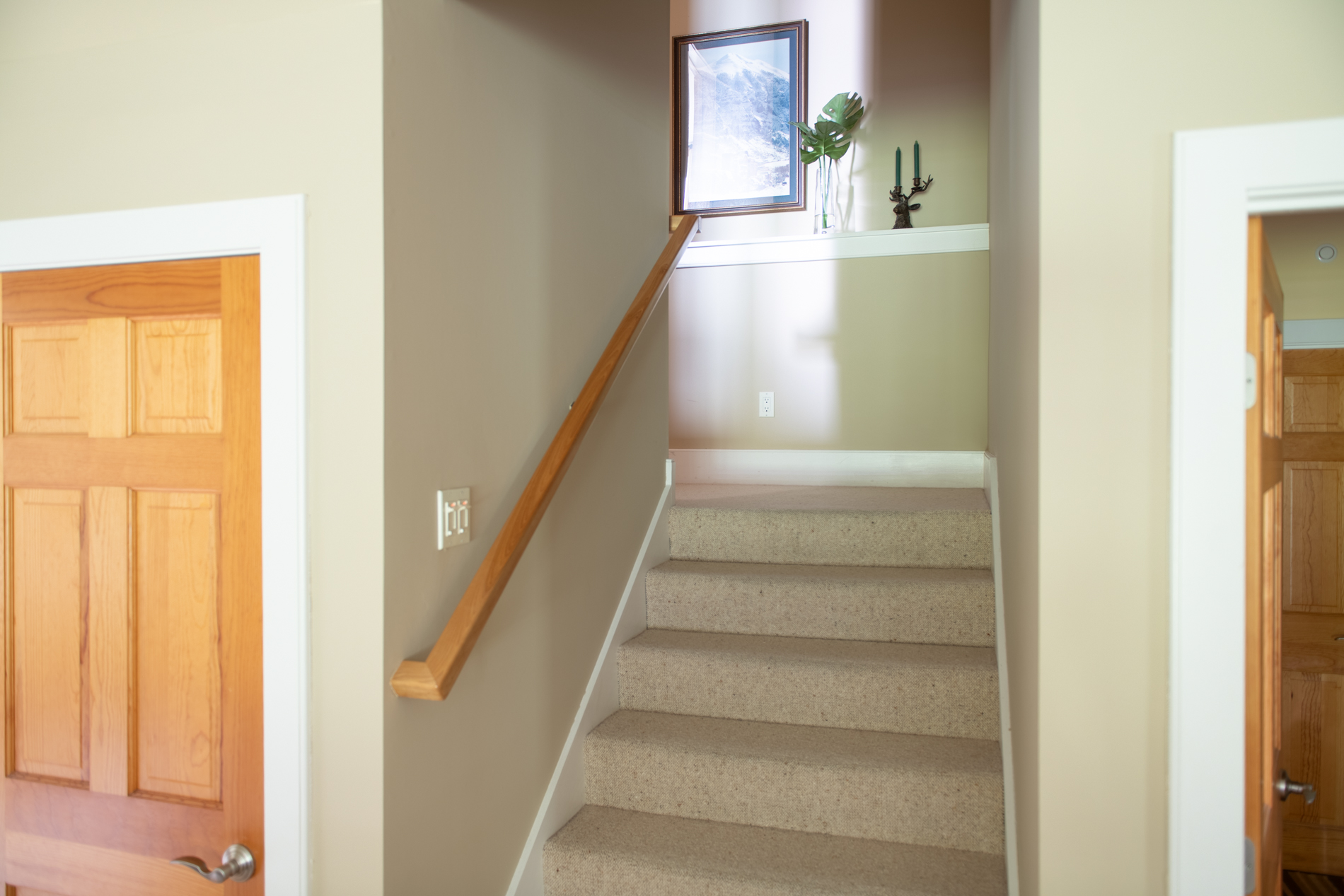  51 Mclane Road - 物件實景