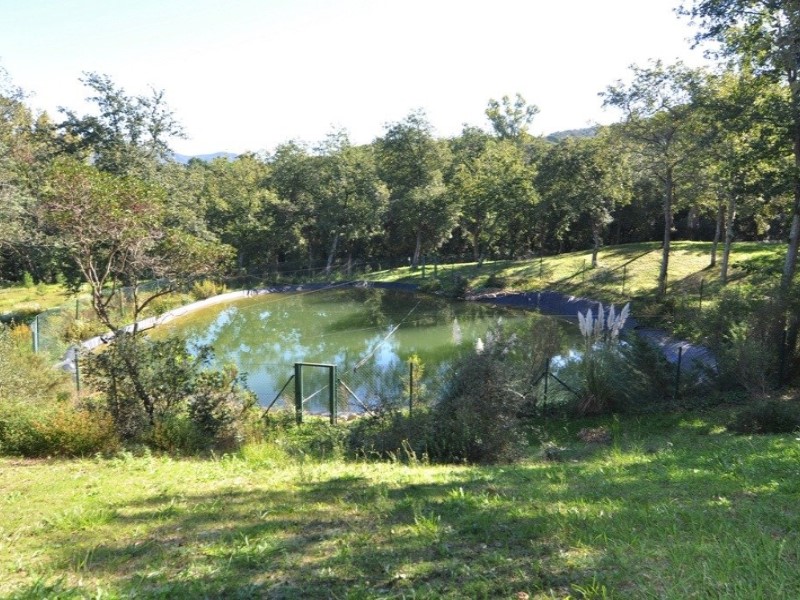 Girona, Santa Cristina d'Aro, Golf Costa Brava -, Santa Cristina d'Aro, Catalonia, ES, 3 Bedrooms Bedrooms, ,2 BathroomsBathrooms,Residential,For Sale,Girona, Santa Cristina d'Aro, Golf Costa Brava - ,1449241