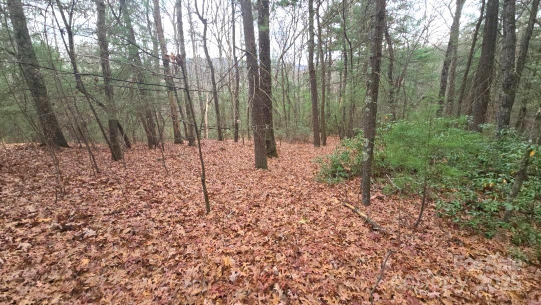 Saluda, North Carolina, 28773, United States, 3 Bedrooms Bedrooms, ,3 BathroomsBathrooms,Residential,For Sale,1978882