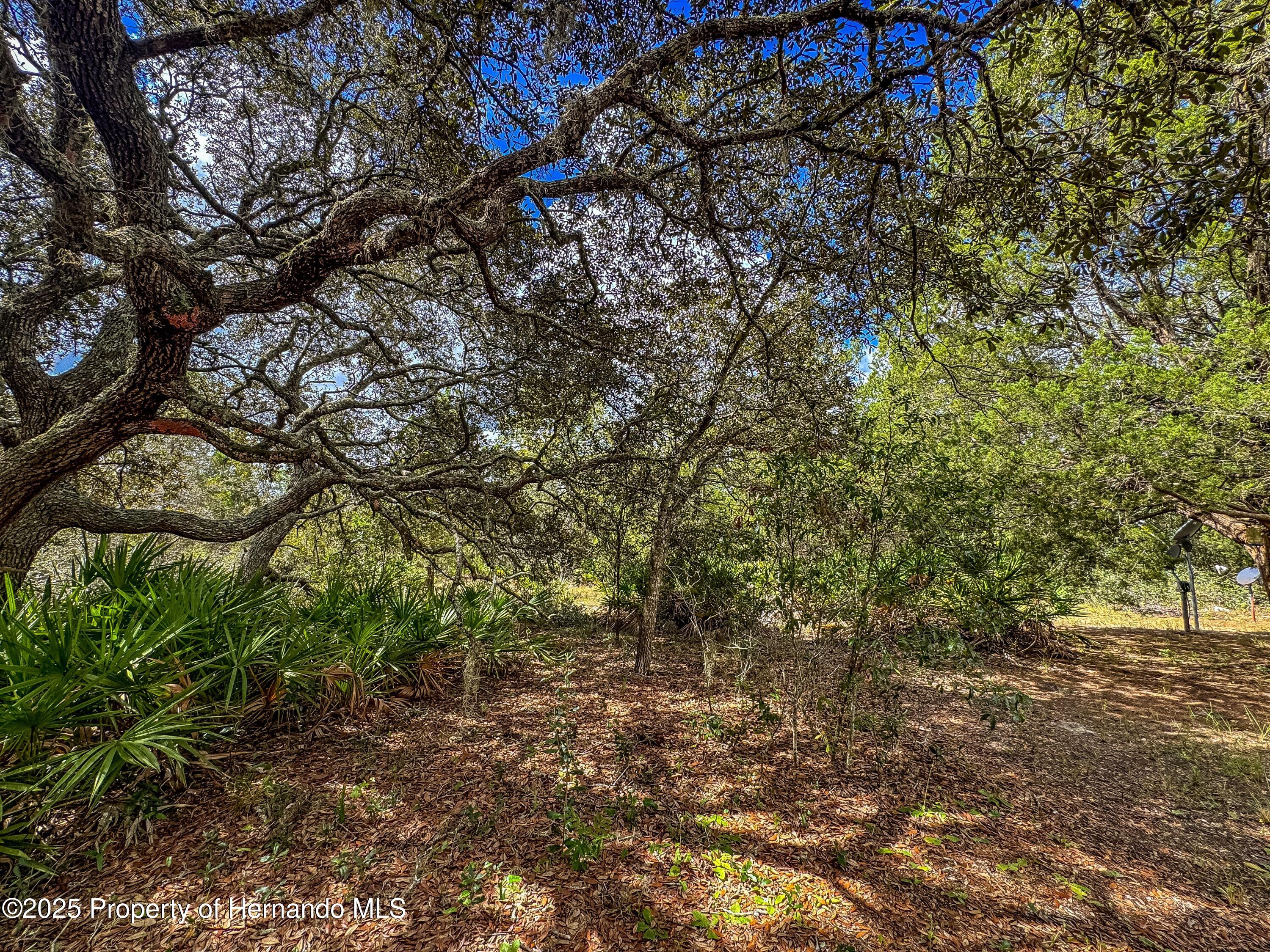 Brooksville, Florida, 34613, United States, 4 Bedrooms Bedrooms, ,2 BathroomsBathrooms,Residential,For Sale,1975088