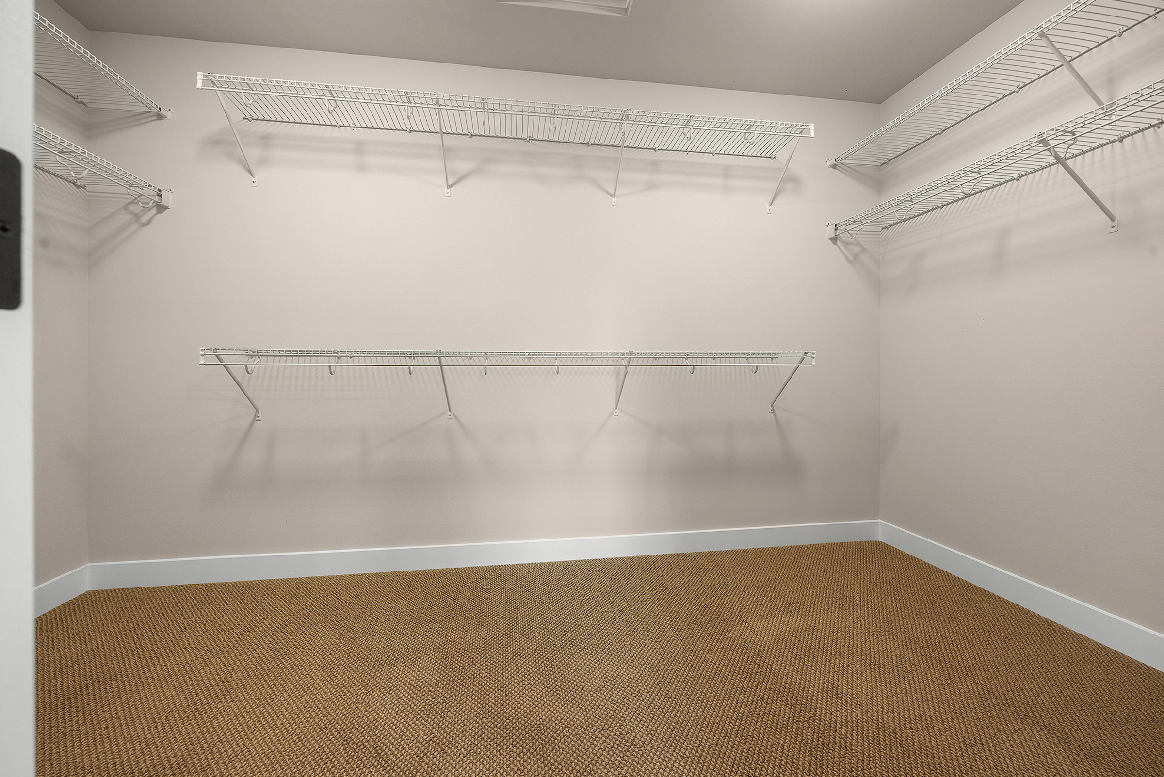  Bright & Cozy Foxglove Hill Home - 物件實景