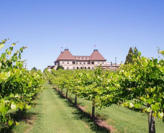 Braselton, Georgia, 30517, United States, 5 Bedrooms Bedrooms, ,7 BathroomsBathrooms,Residential,For Sale,2000500