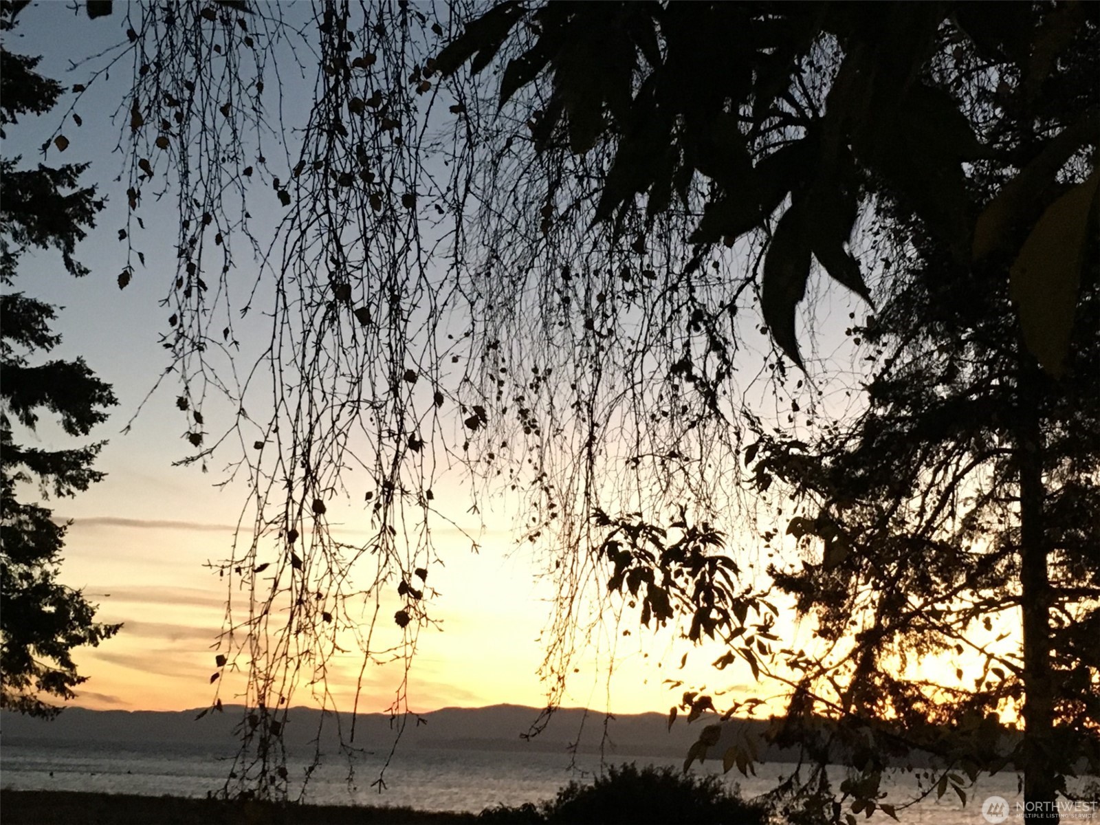 Ocean Park, Washington, 98640, United States, 2 Bedrooms Bedrooms, ,Residential,For Sale,1895027