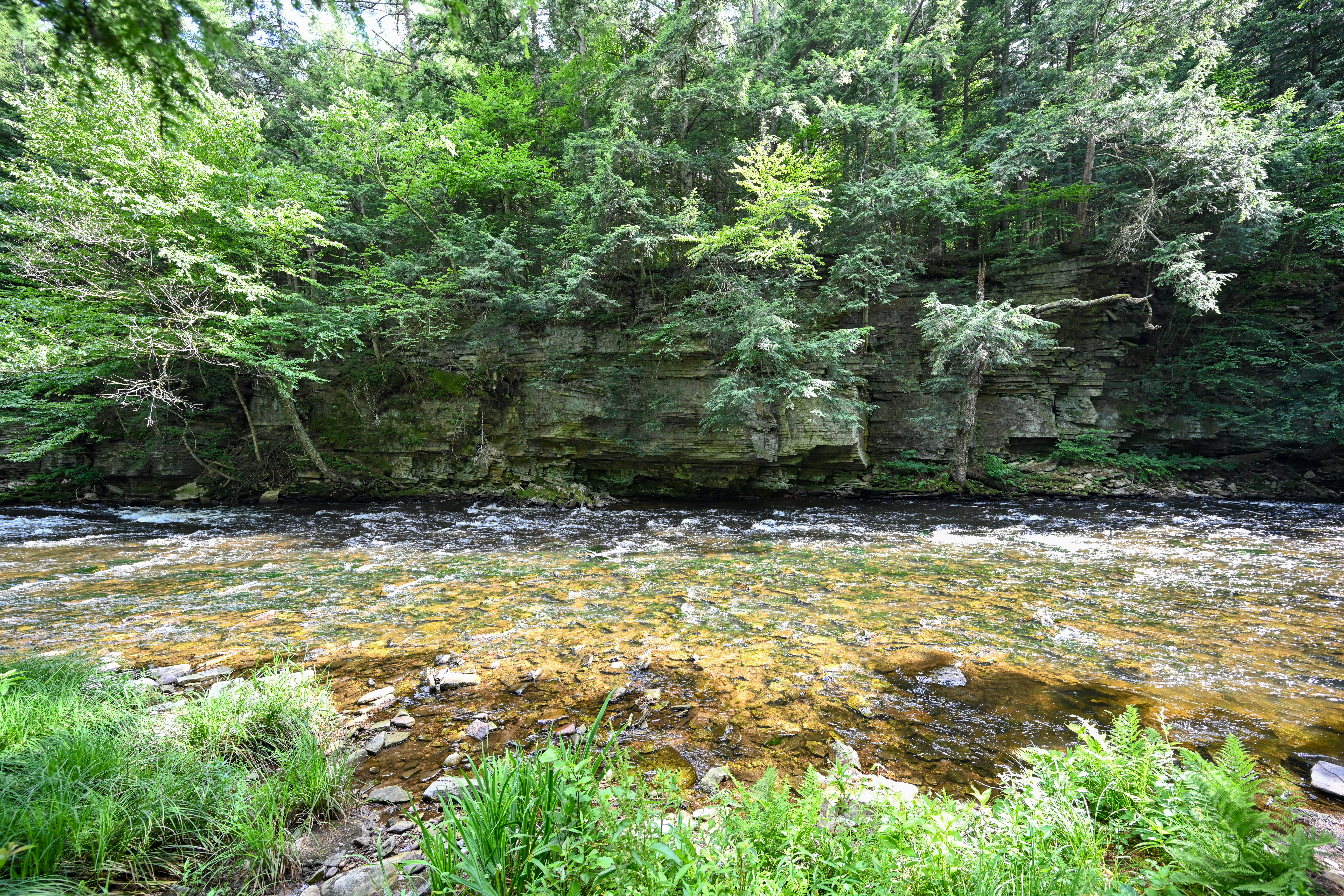  661 Chasm Road, Chateaugay, NY, 12920 - 物件實景