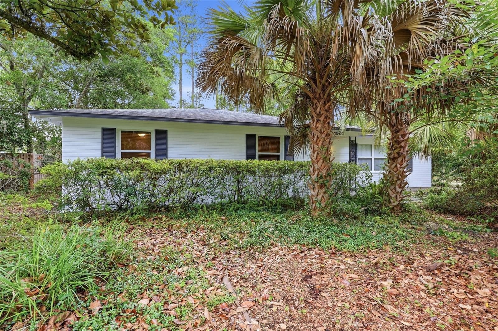 17th St, Gainesville, FL 32605 #1