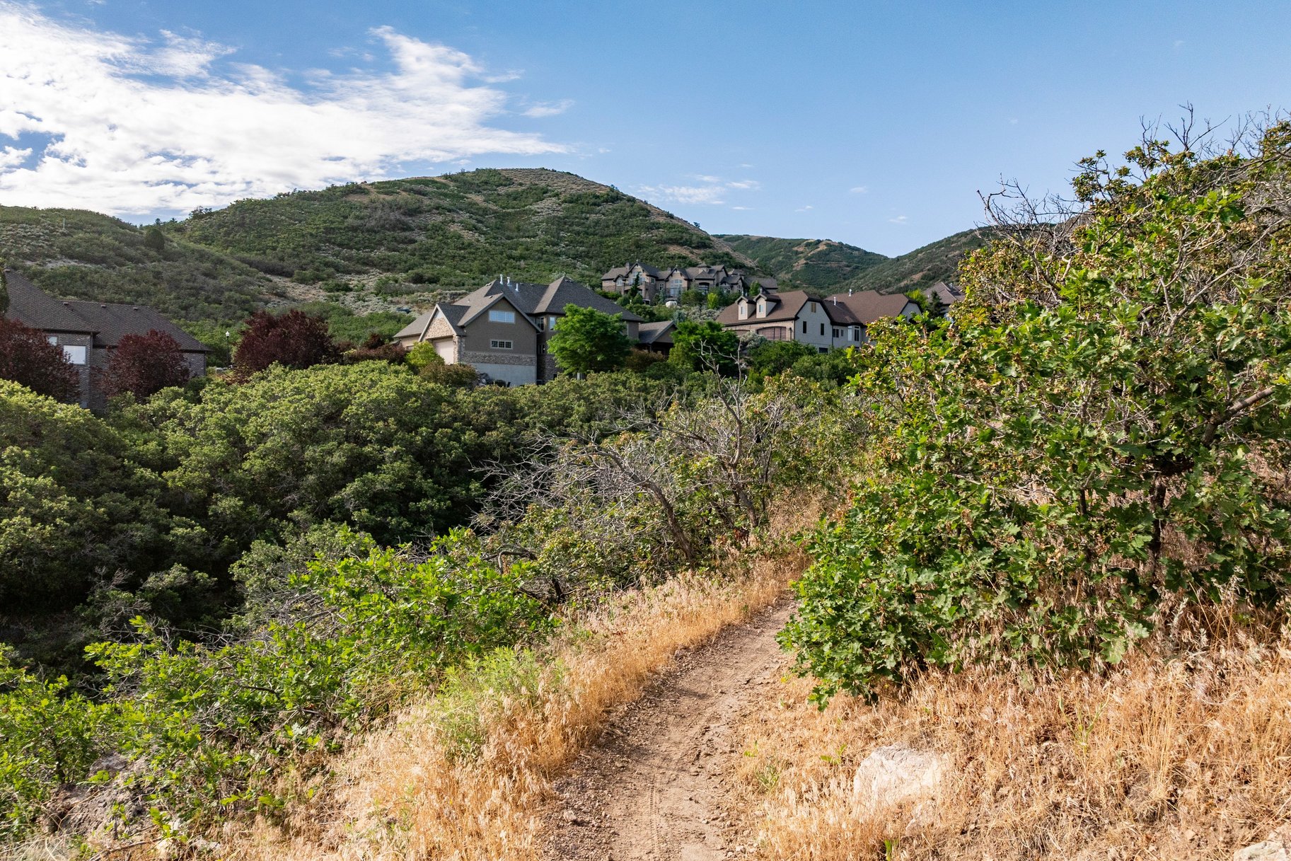  Mountain Views, Trail Access & Luxury East Bench Living - 物件實景