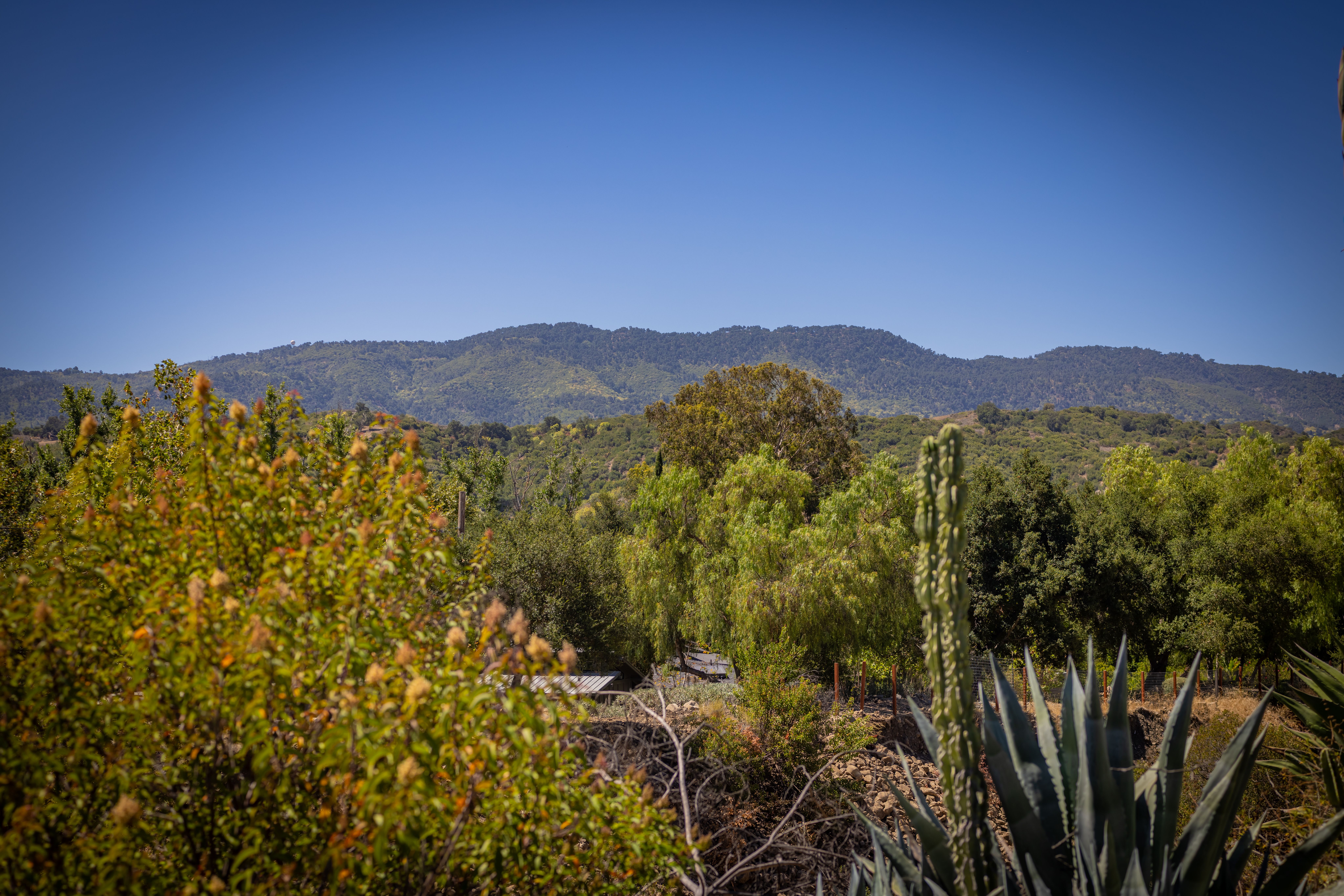  4210 Grand Avenue, Ojai, CA 93023 - 物件實景