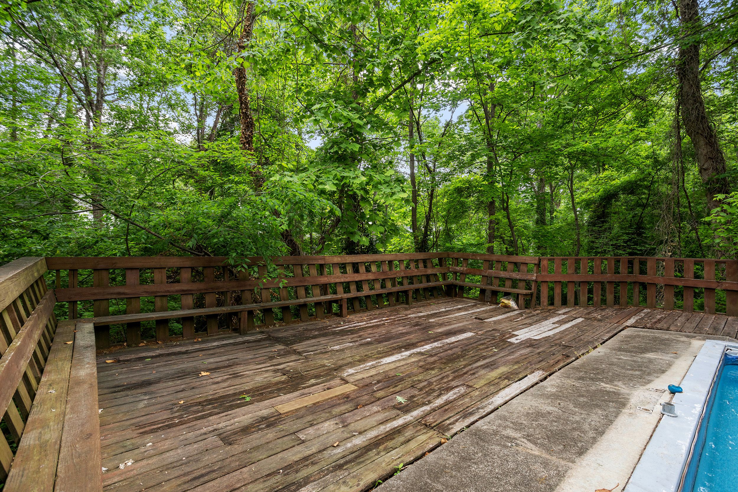  4005 Balsam Drive, Raleigh, NC, 27612 - 物件實景