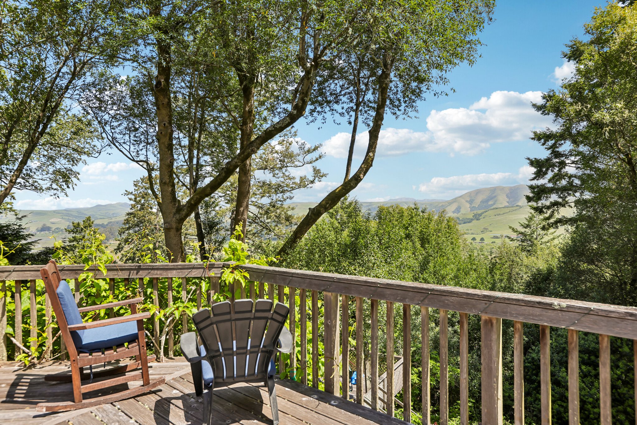  West Marin Legacy Estate - 物件實景