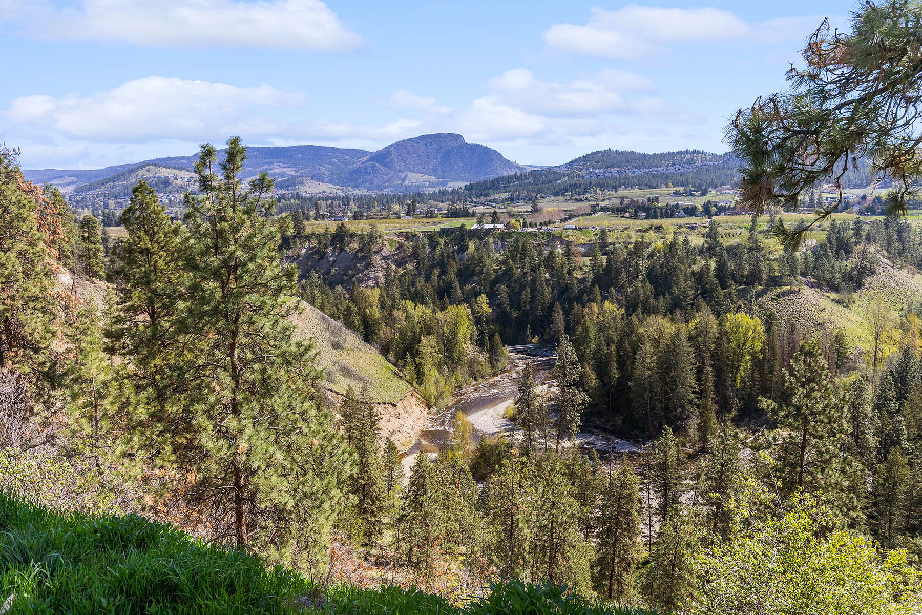  Kelowna, Thompson & Okanagan - 物件實景